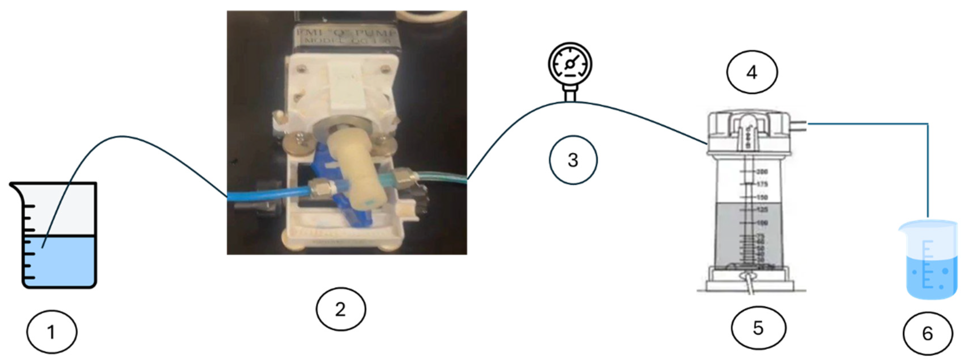Membranes 15 00307 g013