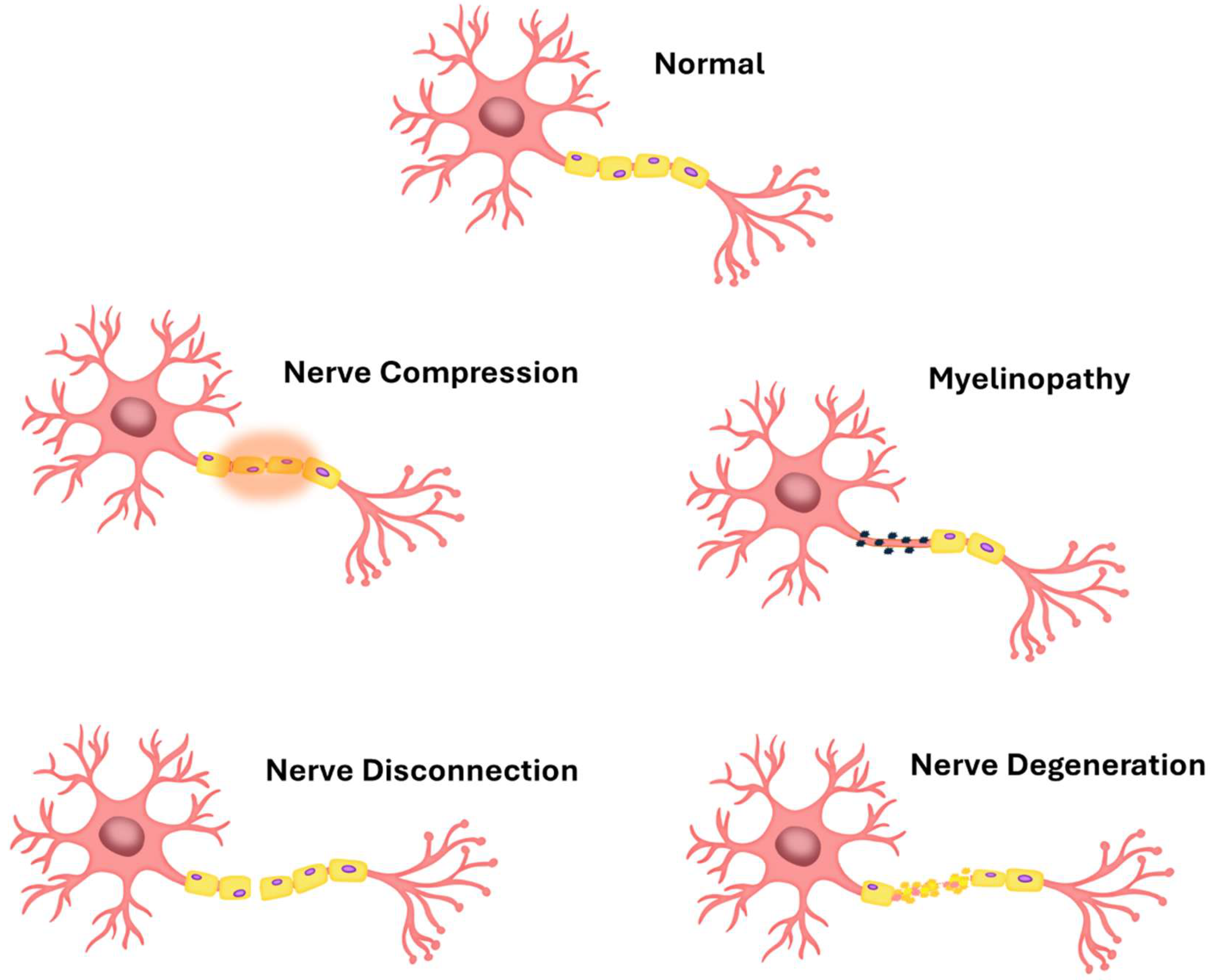 Membranes 15 00313 g001