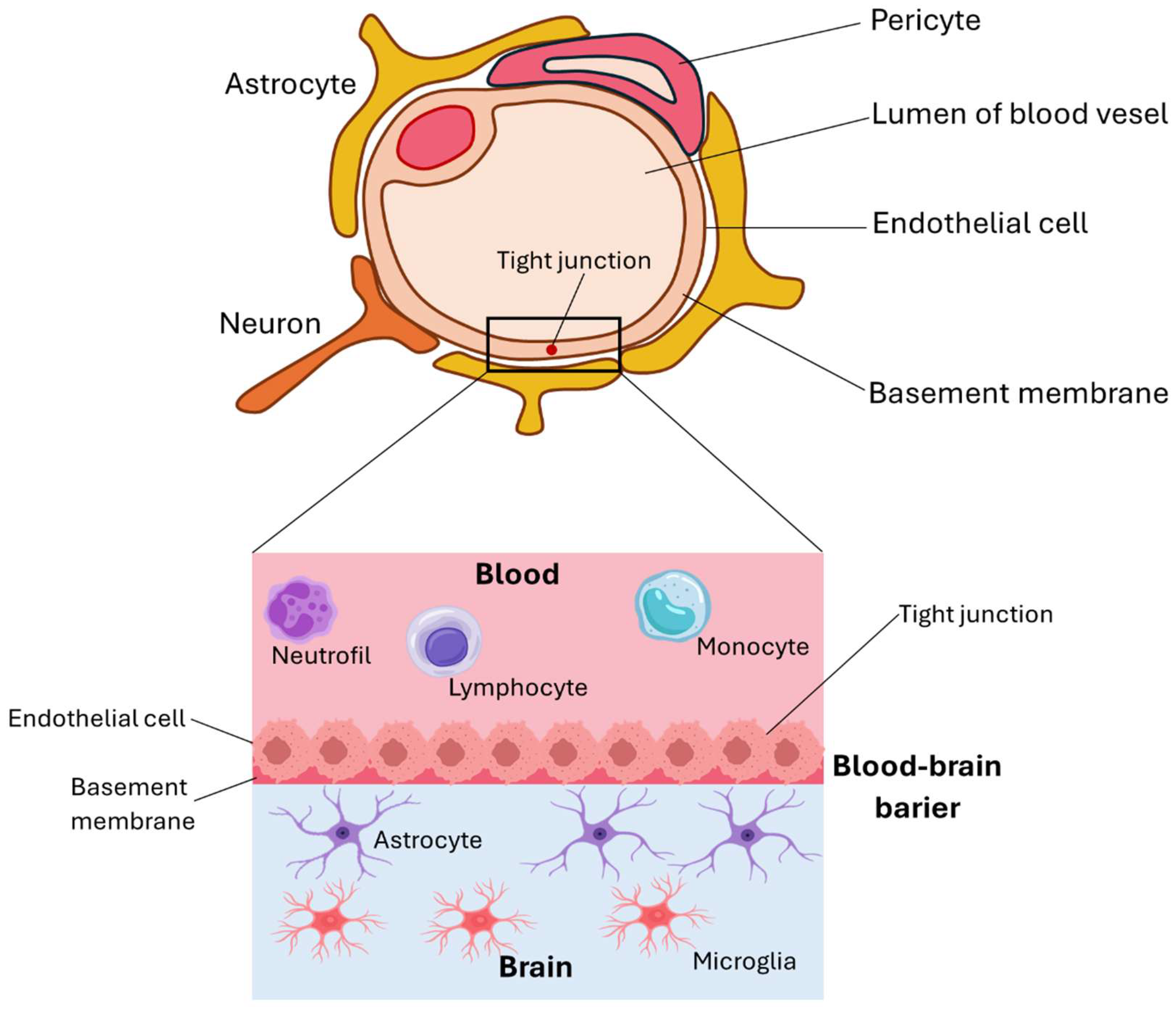 Membranes 15 00313 g002
