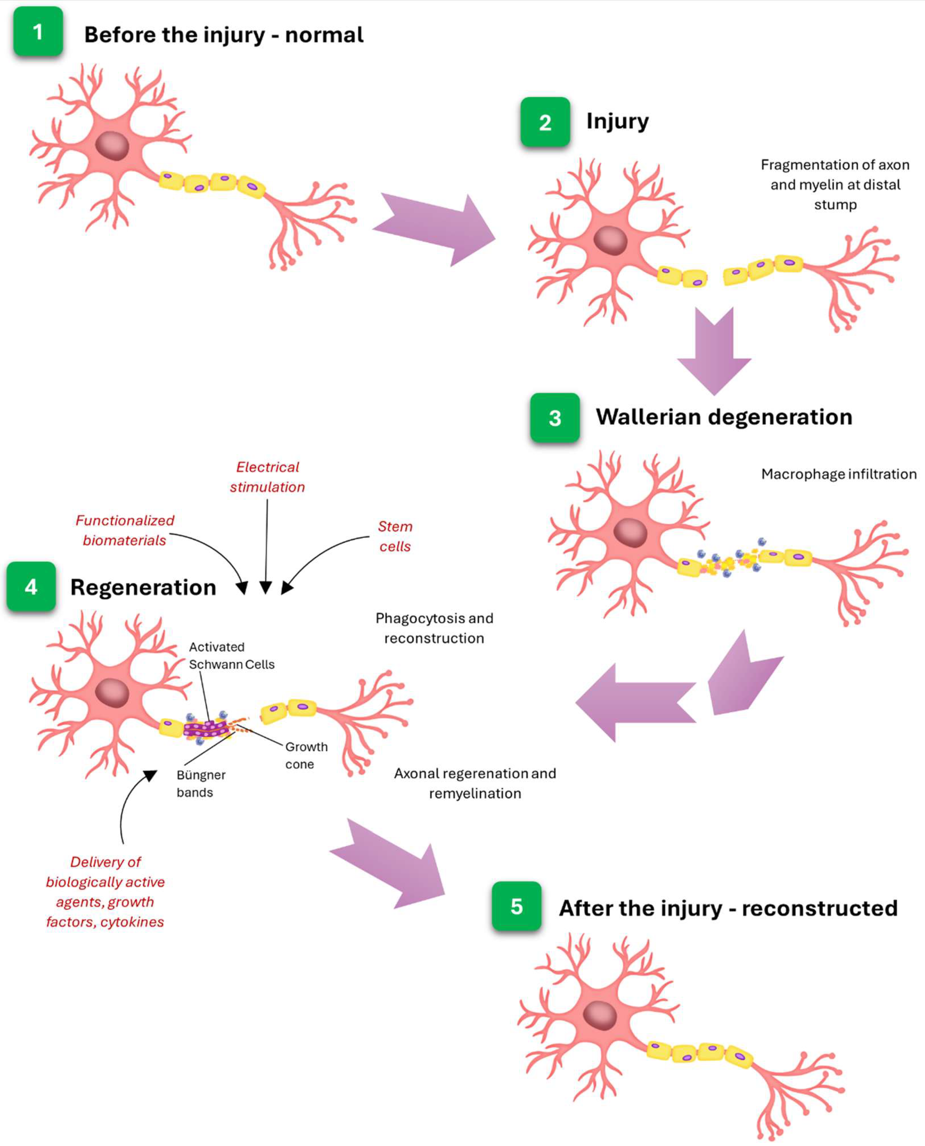 Membranes 15 00313 g006