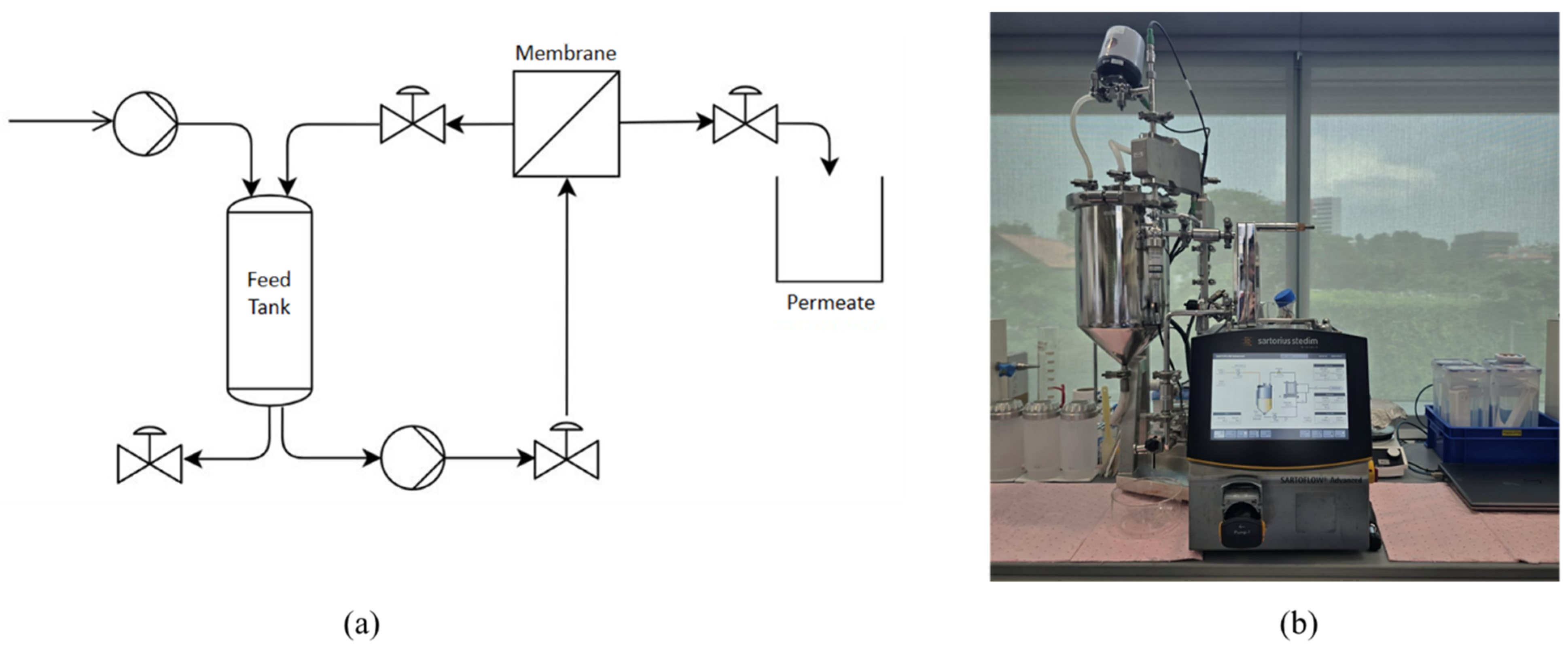 Membranes 15 00326 g002