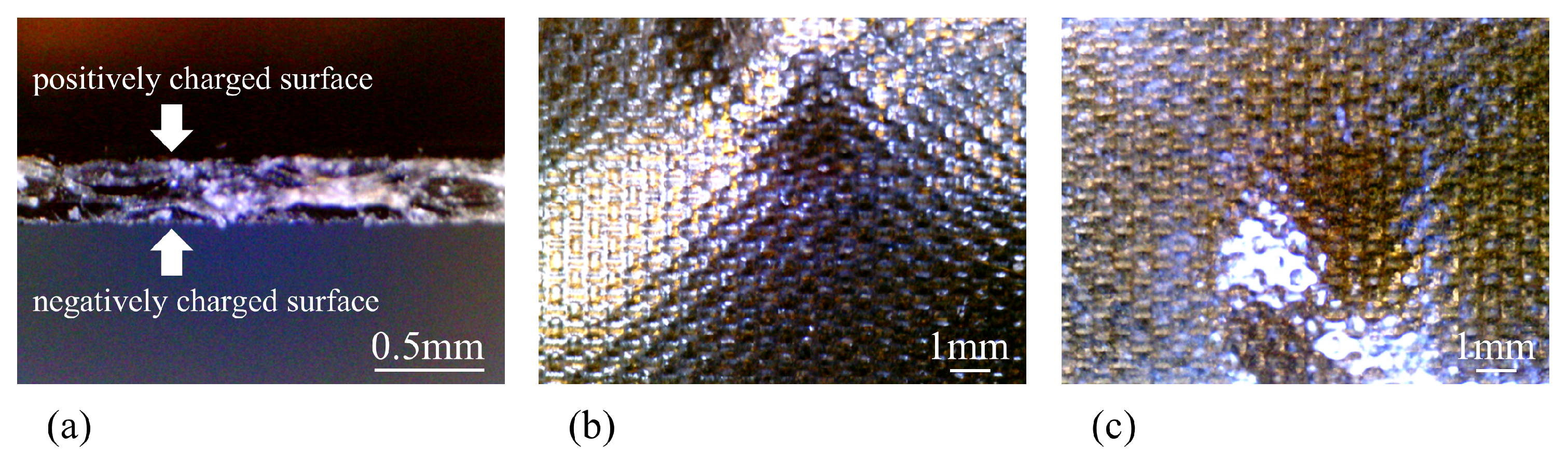 Membranes 15 00333 g013 Membranes 15 00333 g013