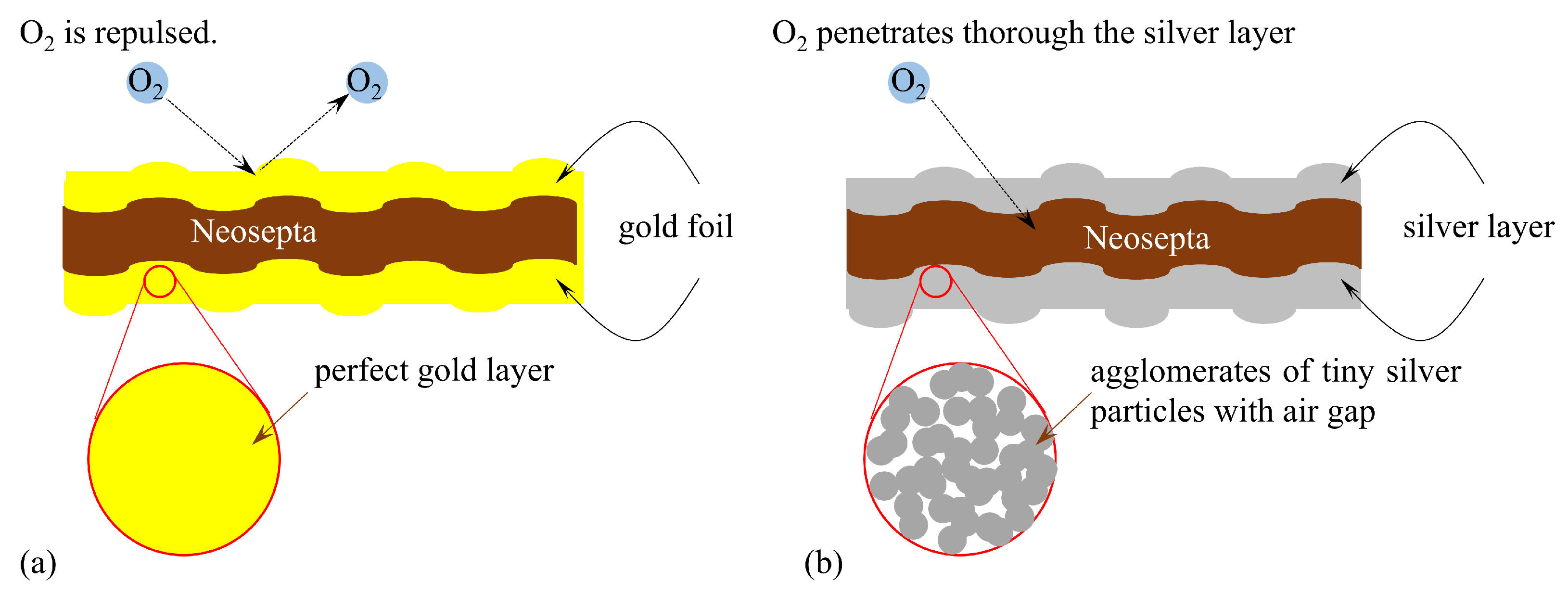 Membranes 15 00333 g018 Membranes 15 00333 g018