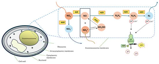 Membranes 15 00337 g002
