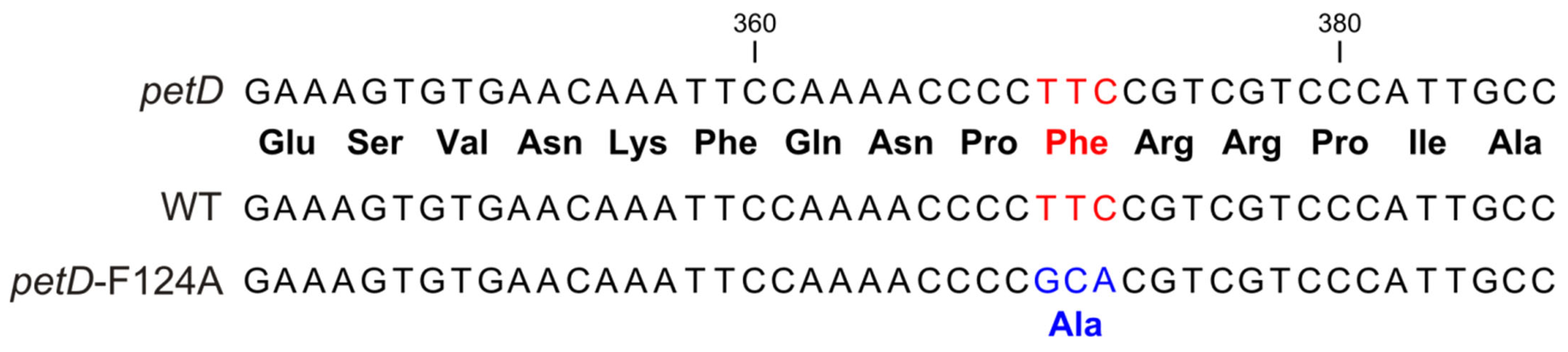 Membranes 15 00383 g003 Membranes 15 00383 g003