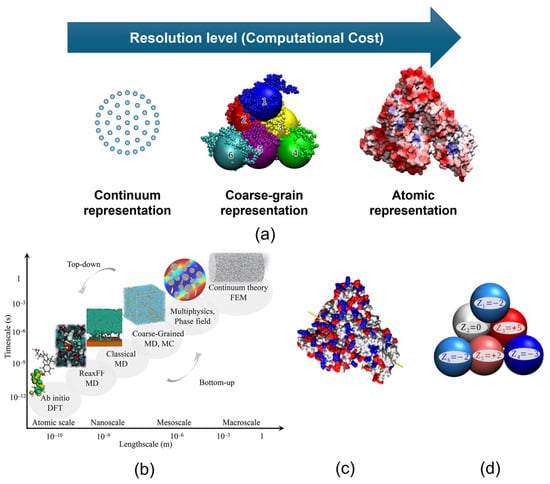 (a) Hierarchical classification of computational protein models by resolution level with BSA molecule; (b) a schematic representation of temporal and spatial scales; (c) distribution of charge on the BSA molecule surface coloured by residues’ total charge: positive—blue, negative—red, neutral—white; (d) coarse-grained charge distribution of BSA at its isoelectric point, expressed in units of the elementary charge; e (redrawn from [76,77,78,79]) reproduced from Ref. [76] with permission from the Royal Society of Chemistry.