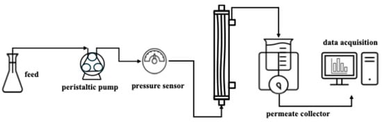 Schematic diagram of constant flux filtration setup.