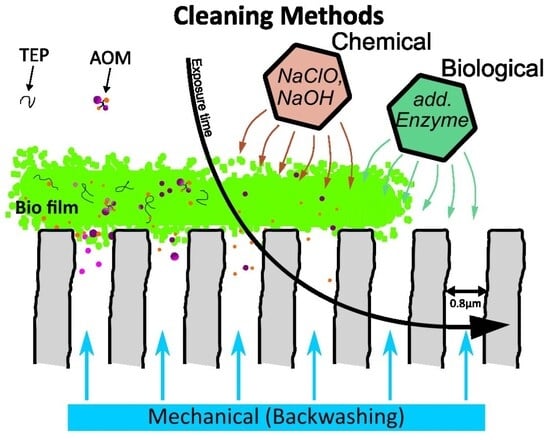Side view of the experimental setup.