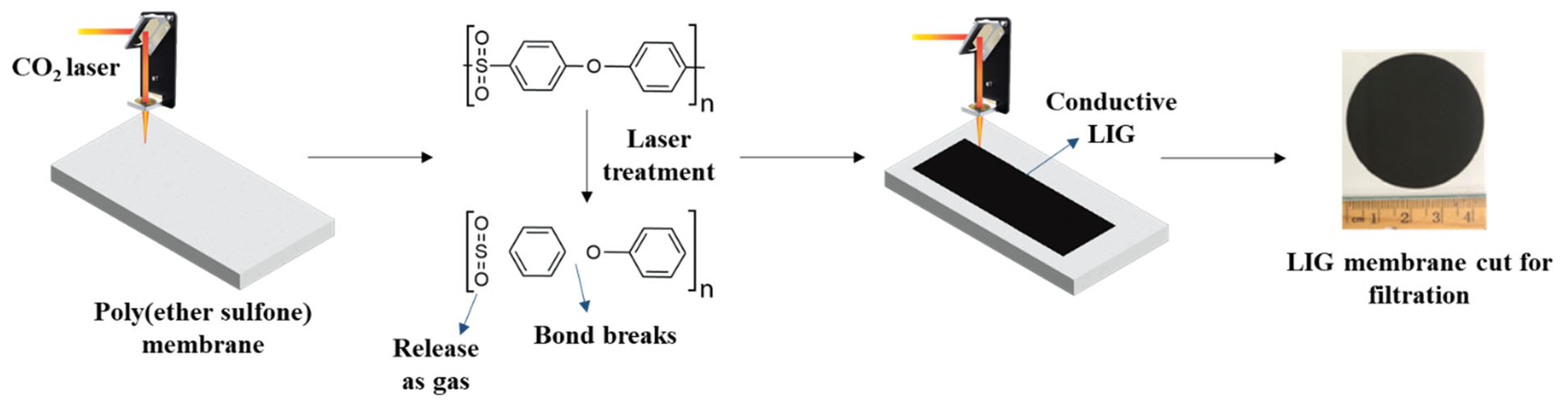 Membranes 16 00021 g001