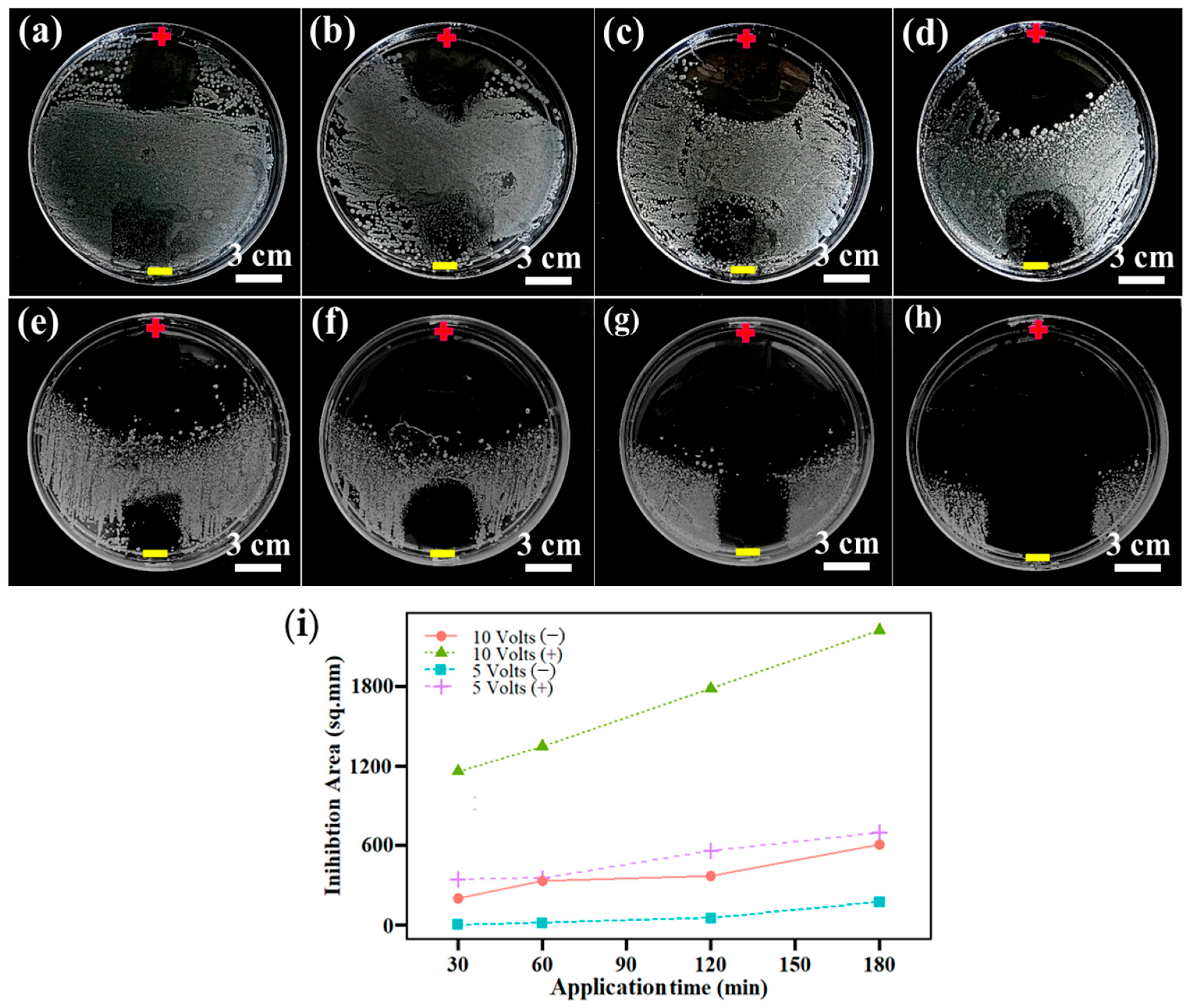Membranes 16 00021 g008