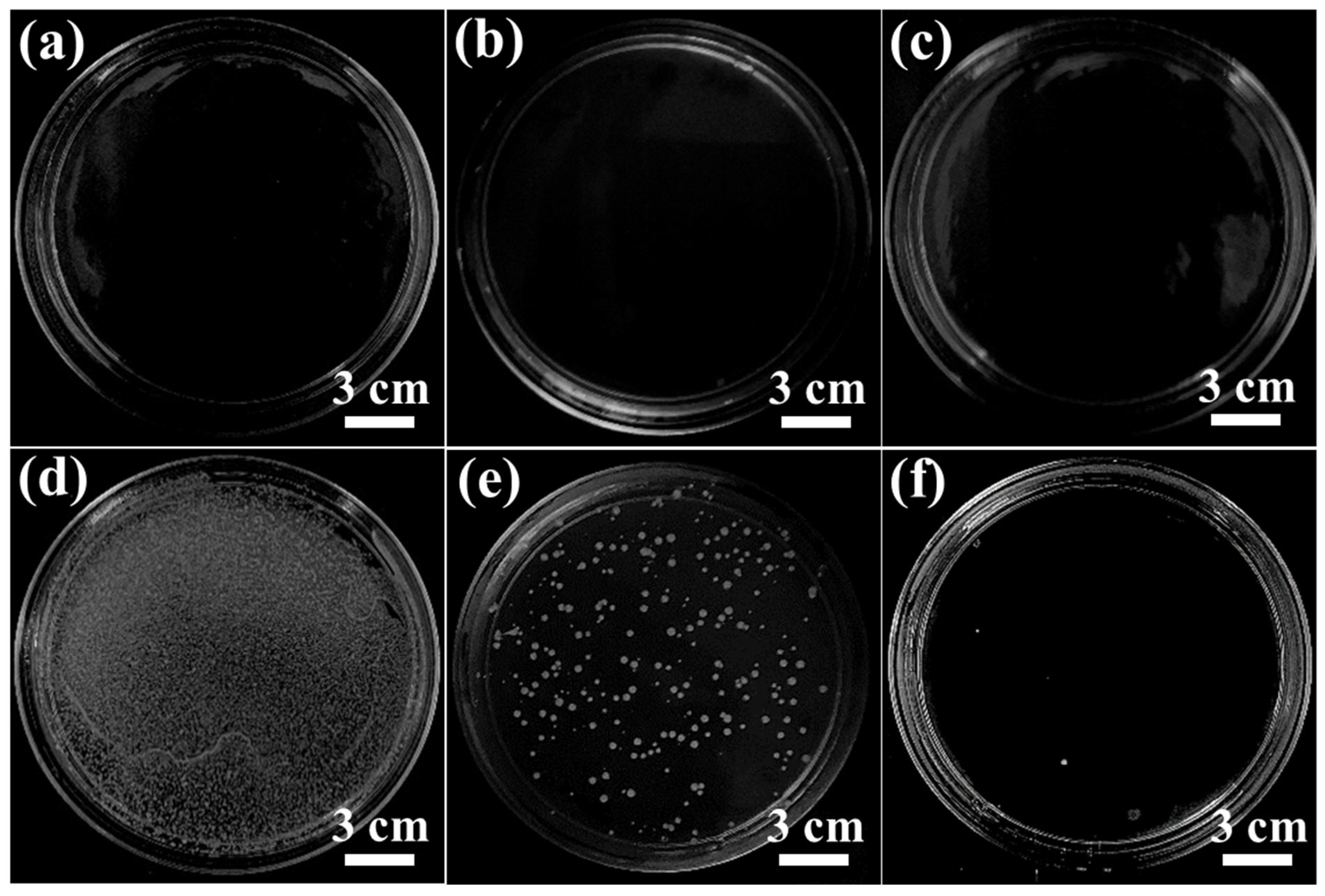 Membranes 16 00021 g009