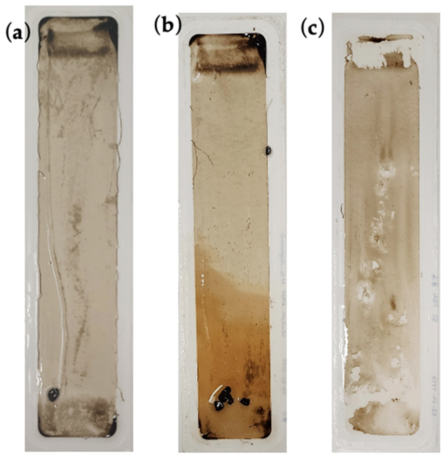 Membranes 16 00024 g006
