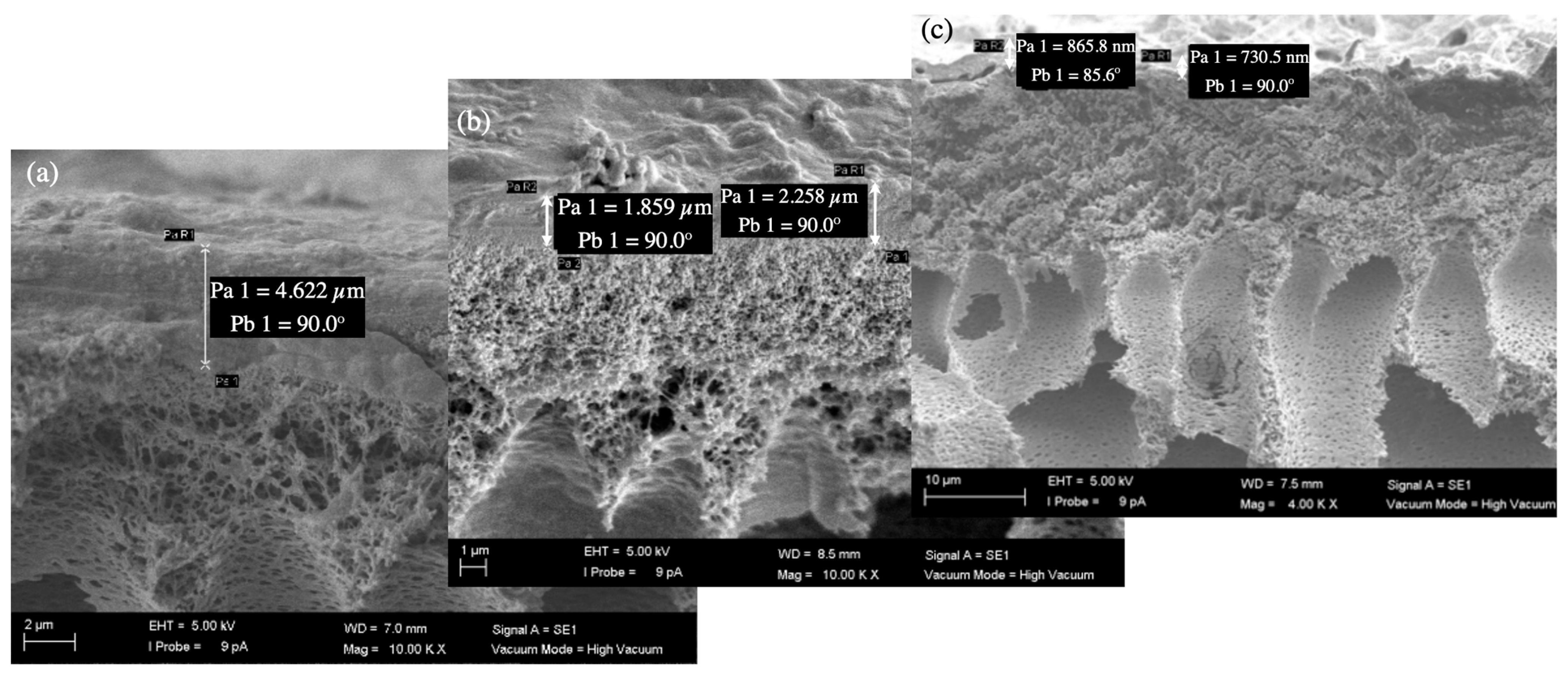 Membranes 16 00024 g008