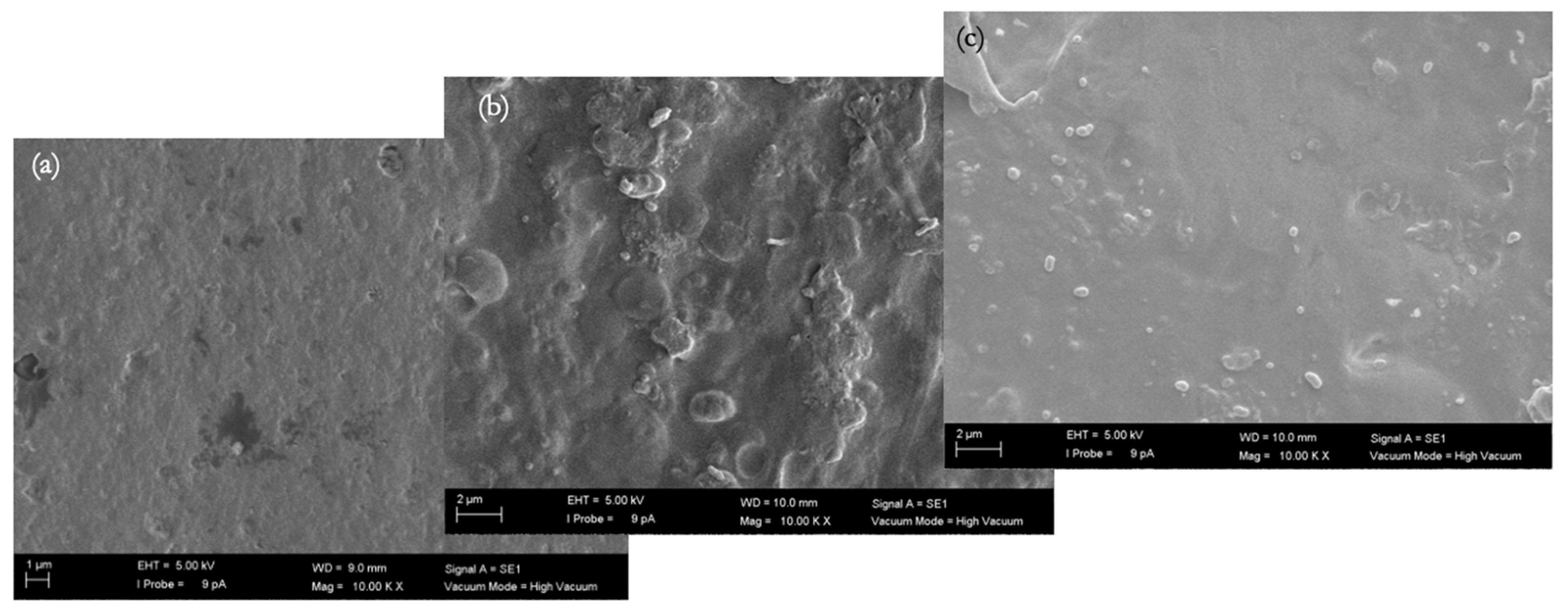 Membranes 16 00024 g009