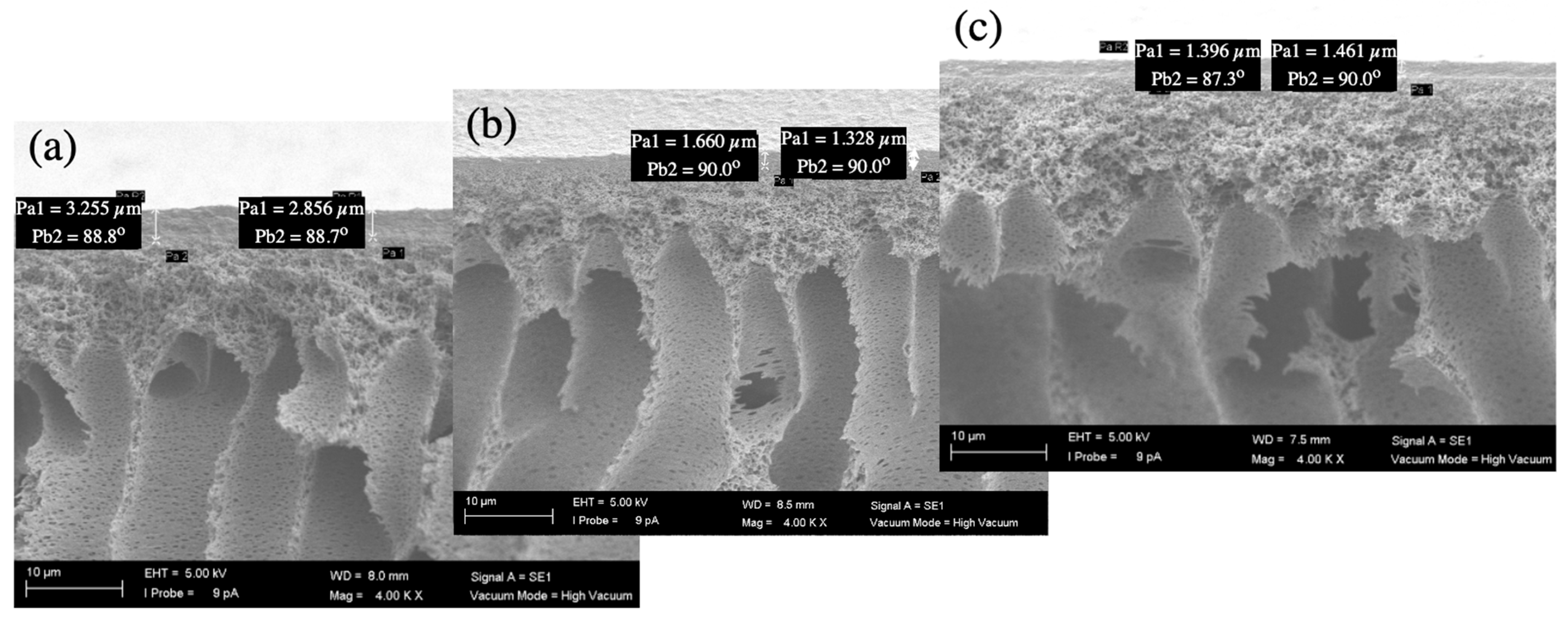 Membranes 16 00024 g010