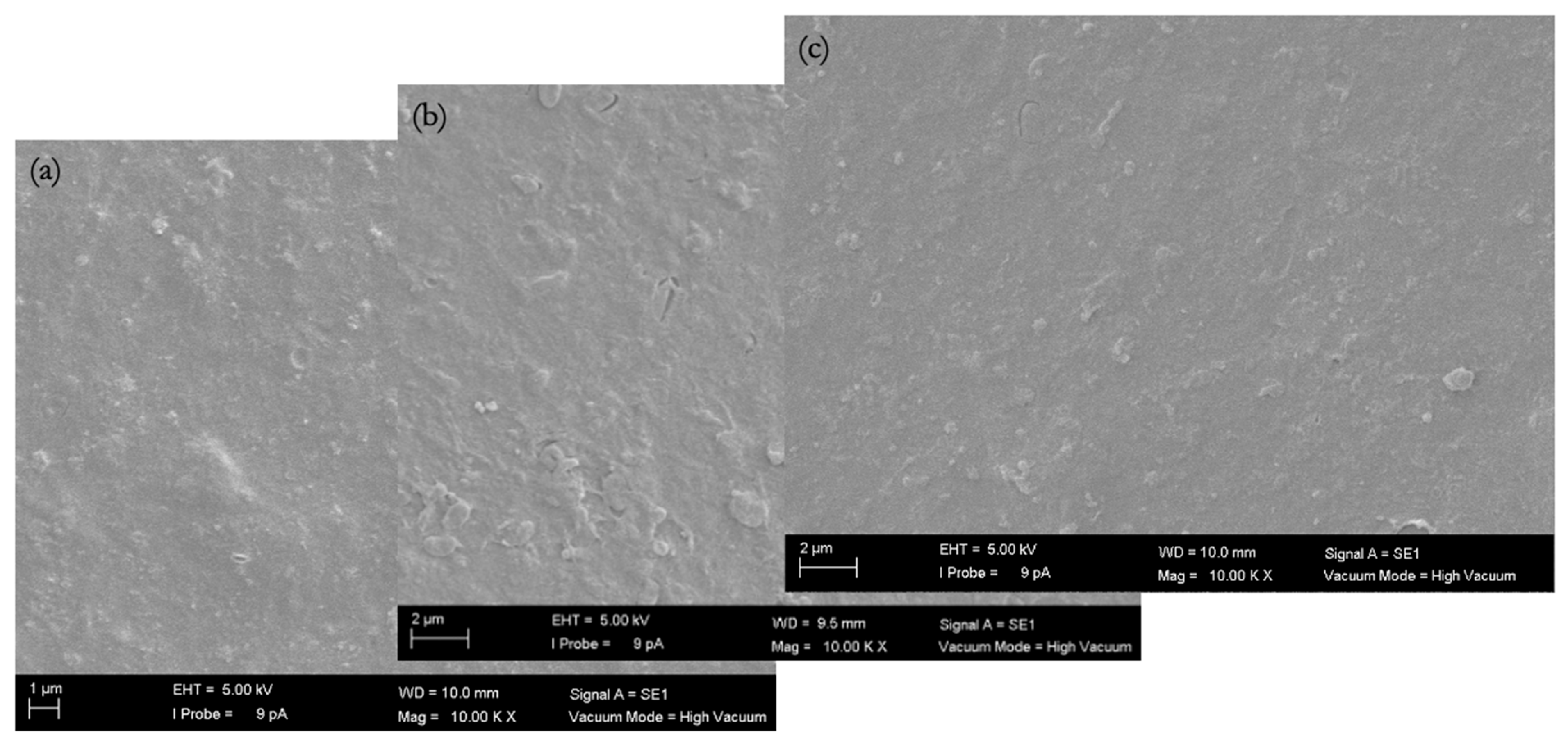 Membranes 16 00024 g011