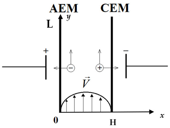 Membranes 16 00041 g001