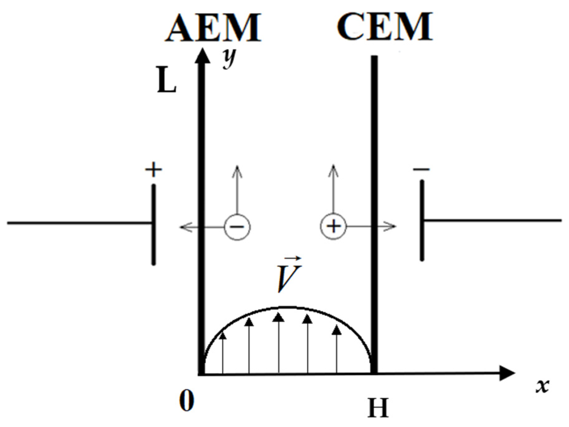 Membranes 16 00041 g001 Membranes 16 00041 g001