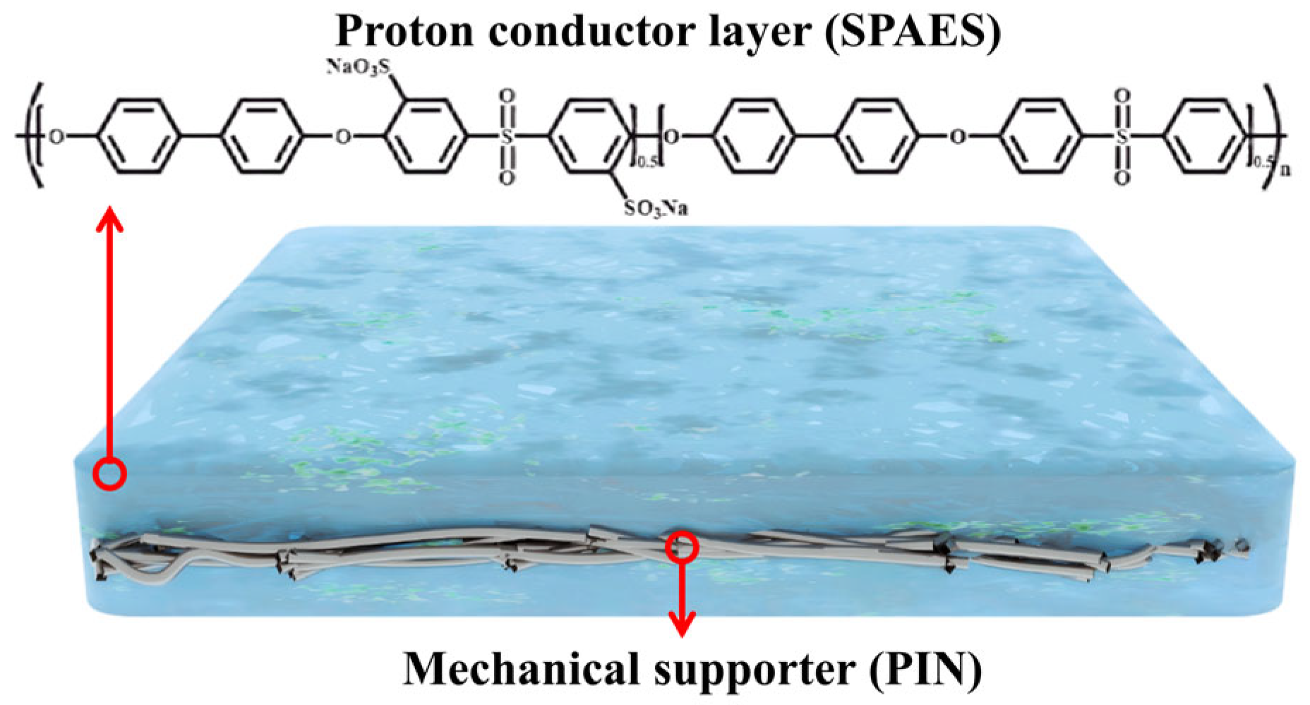 Membranes 16 00054 g010