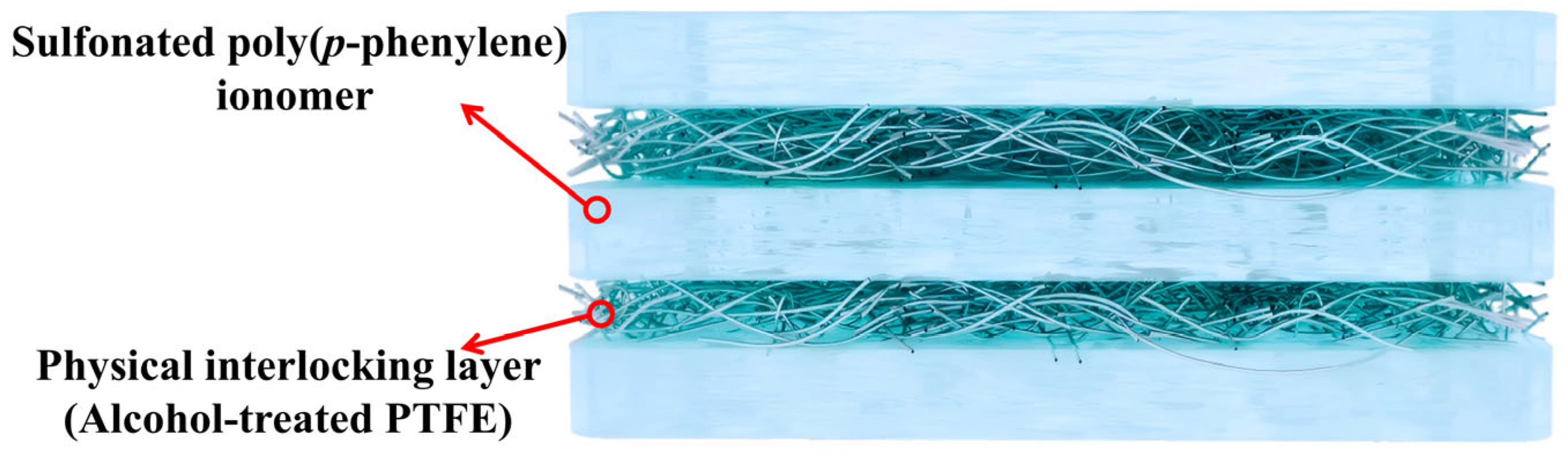Membranes 16 00054 g011