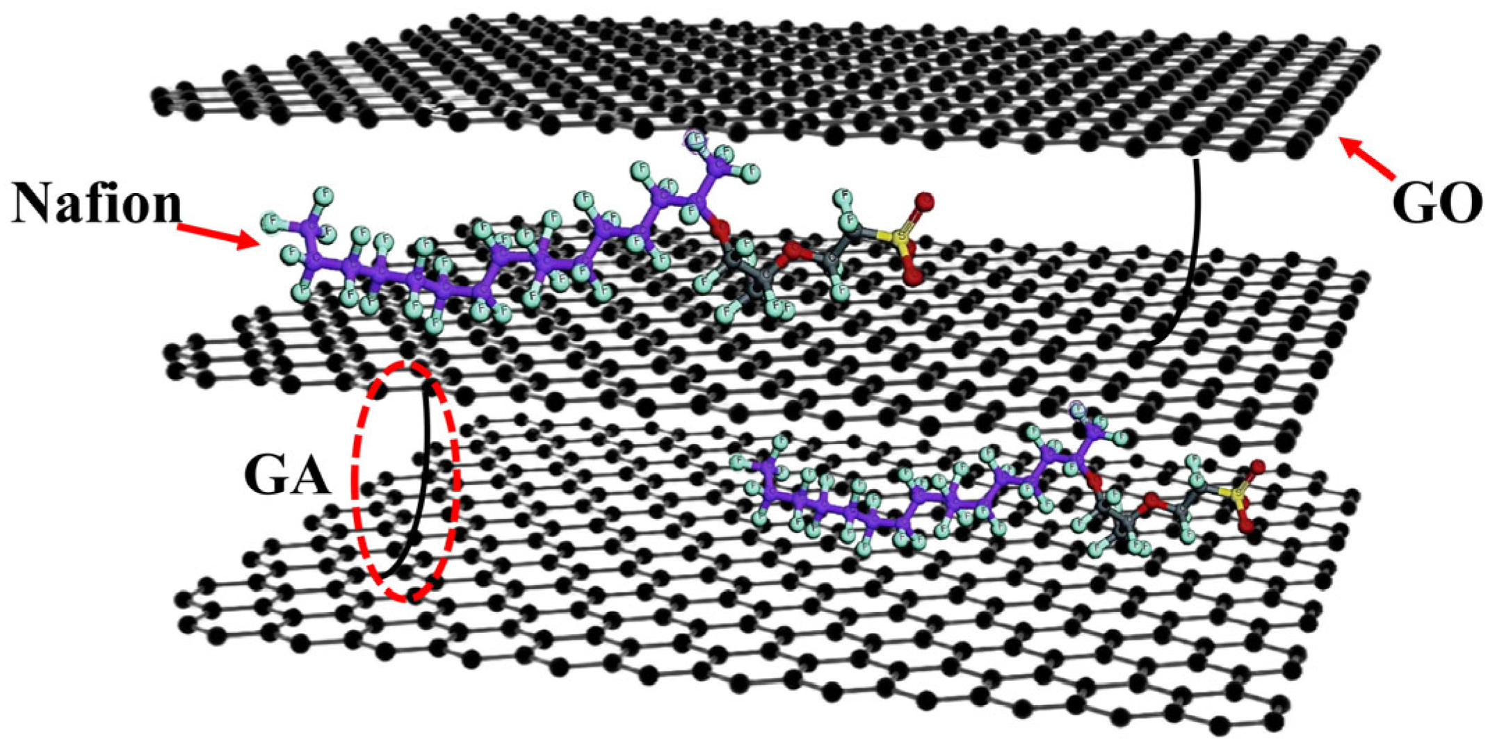 Membranes 16 00054 g012