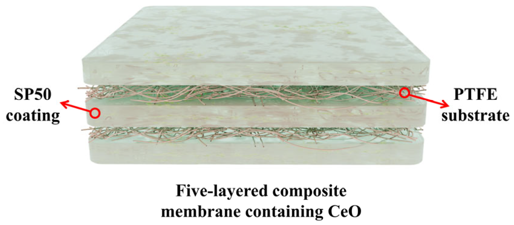 Membranes 16 00054 g014