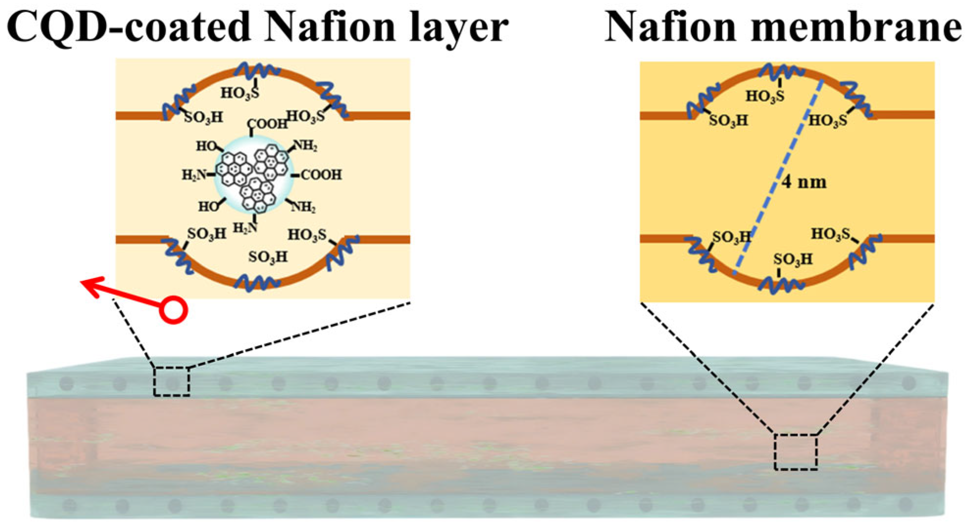 Membranes 16 00054 g015