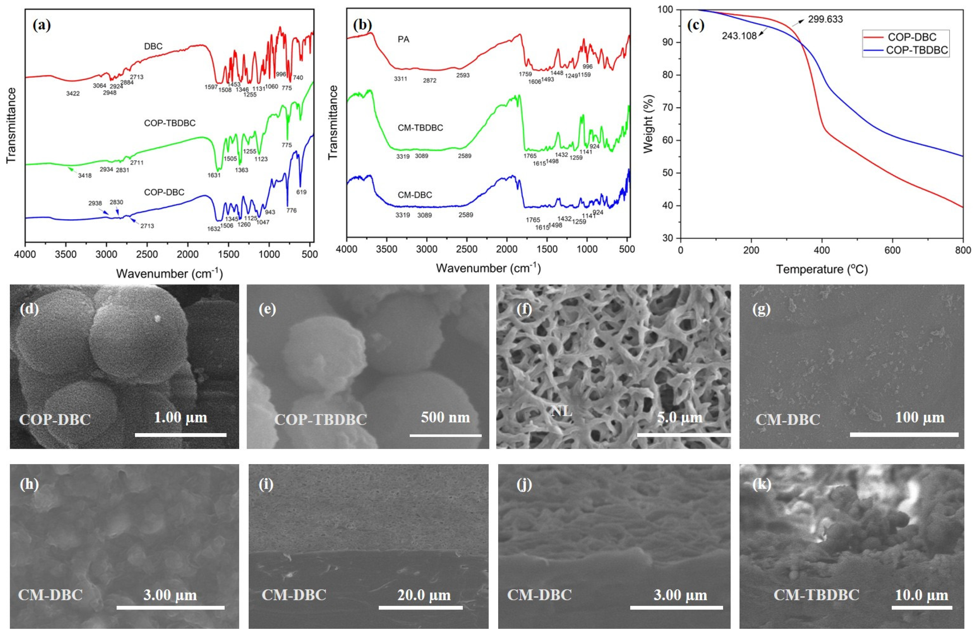 Membranes 16 00056 g003