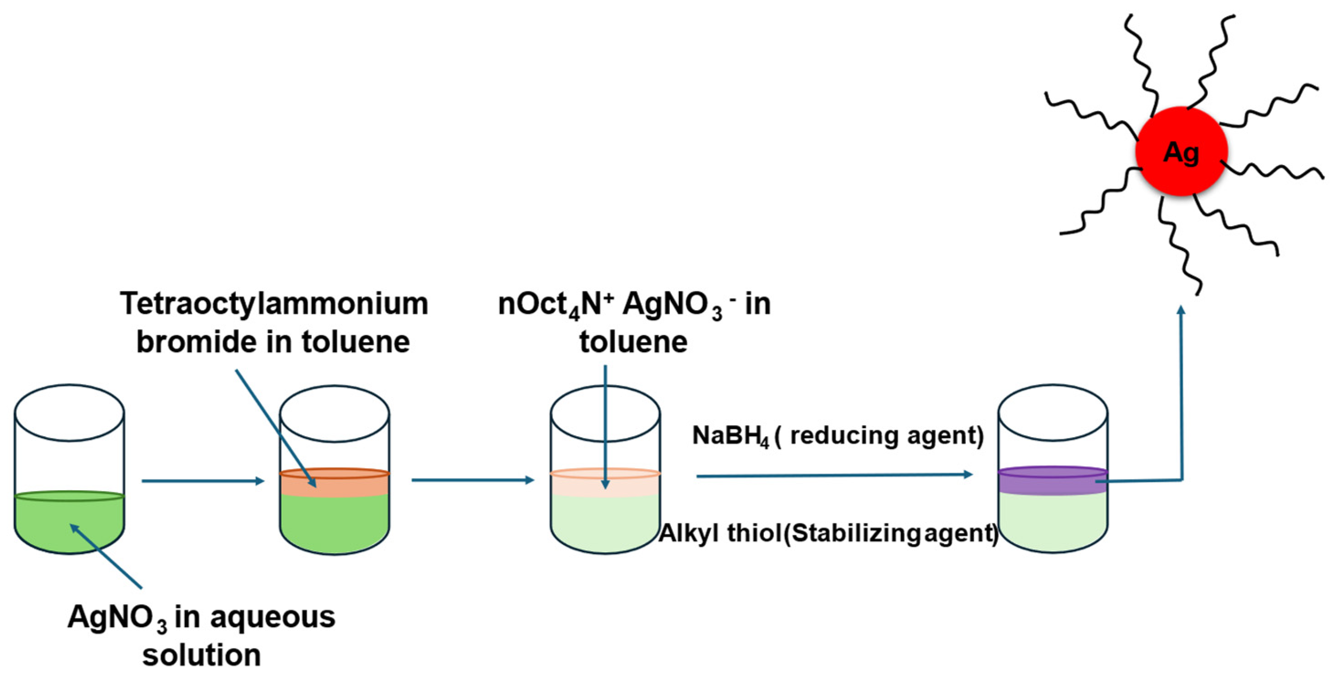 Membranes 16 00058 g002