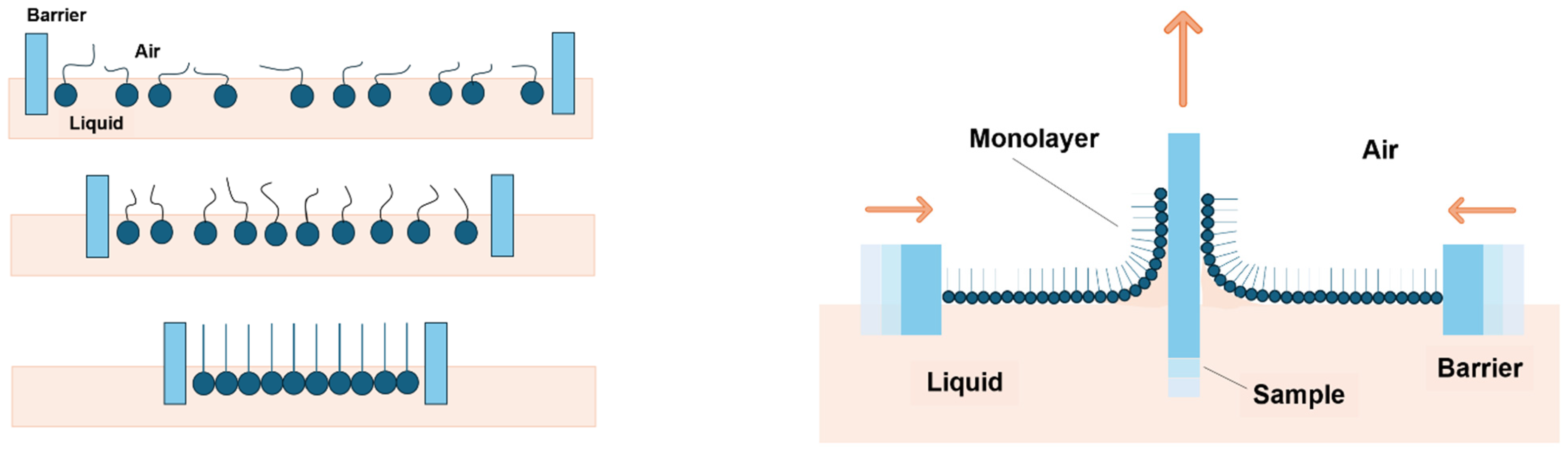 Membranes 16 00058 g003