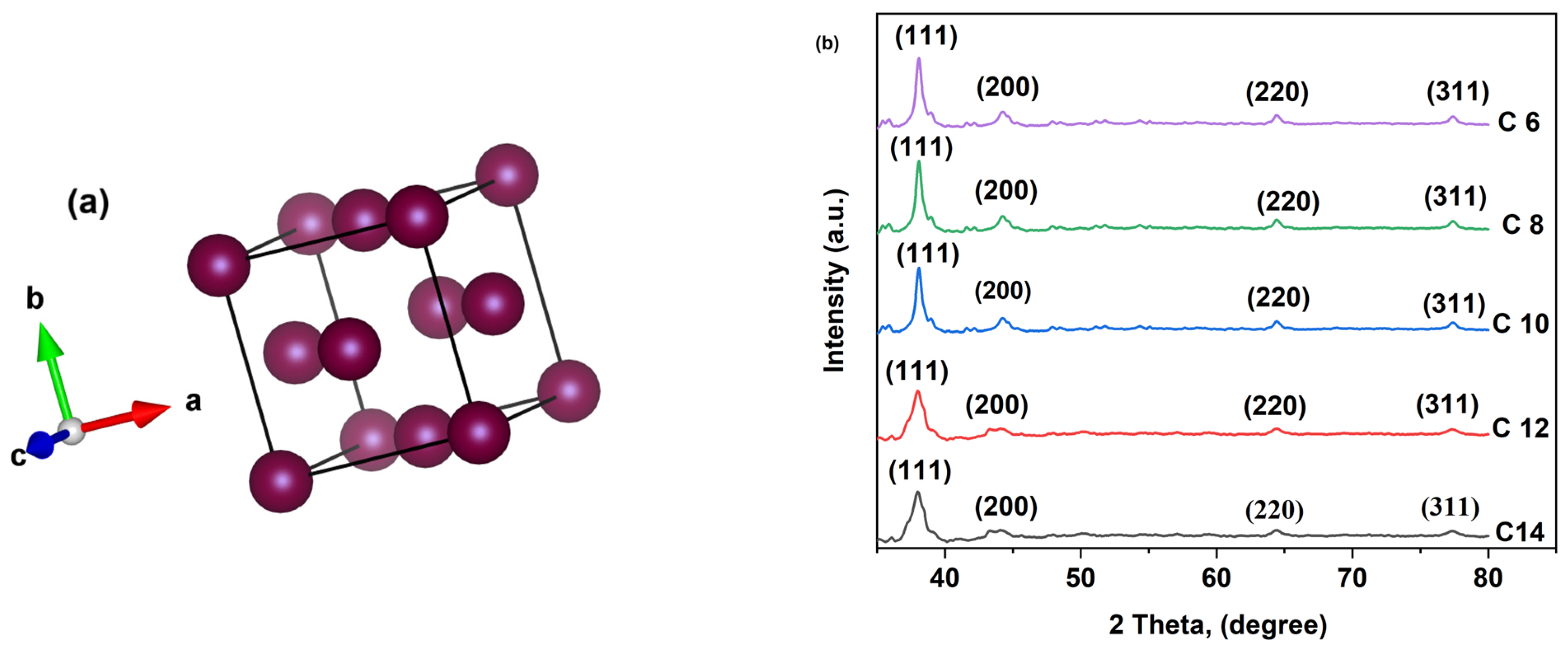 Membranes 16 00058 g004