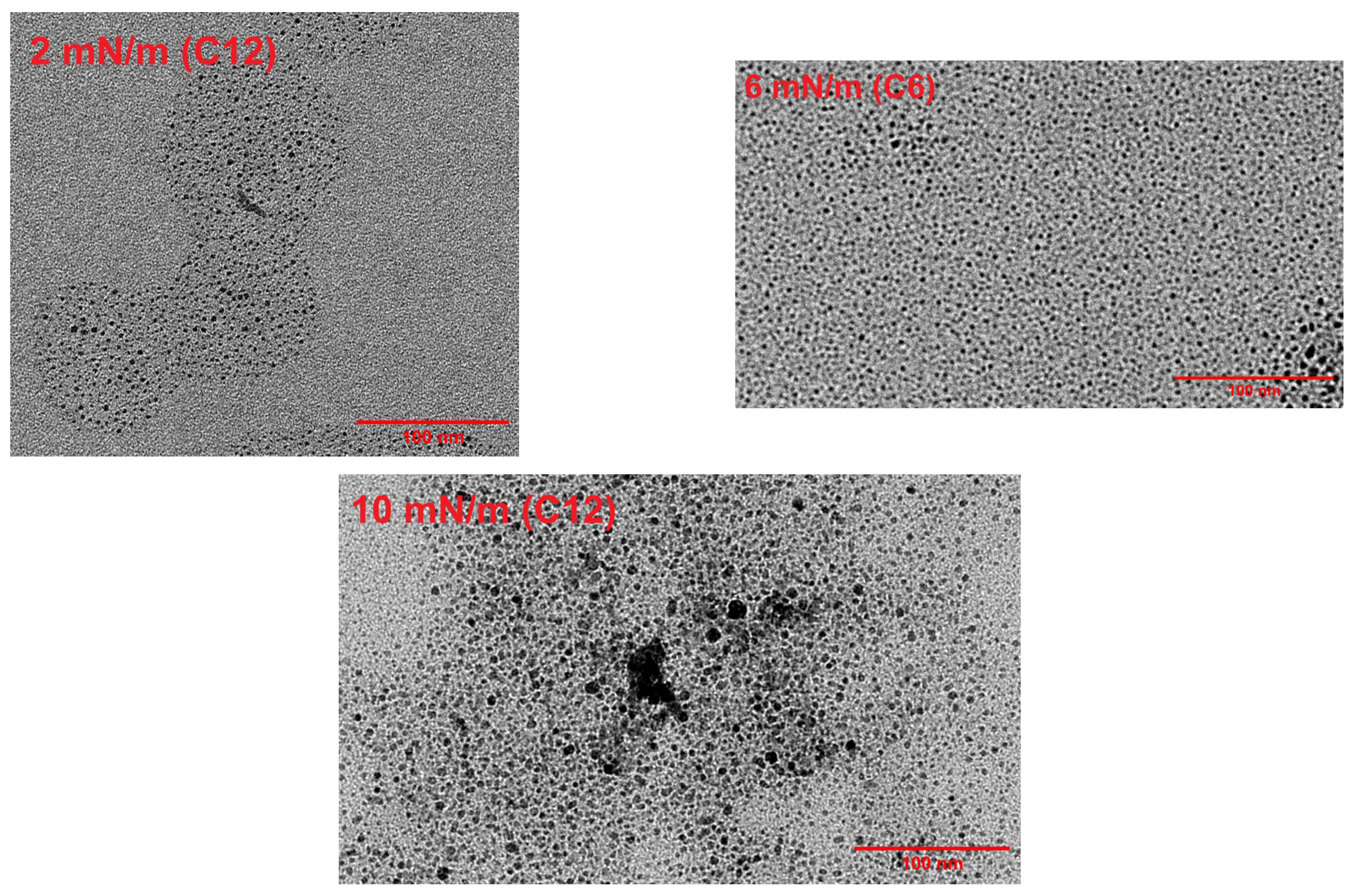 Membranes 16 00058 g011