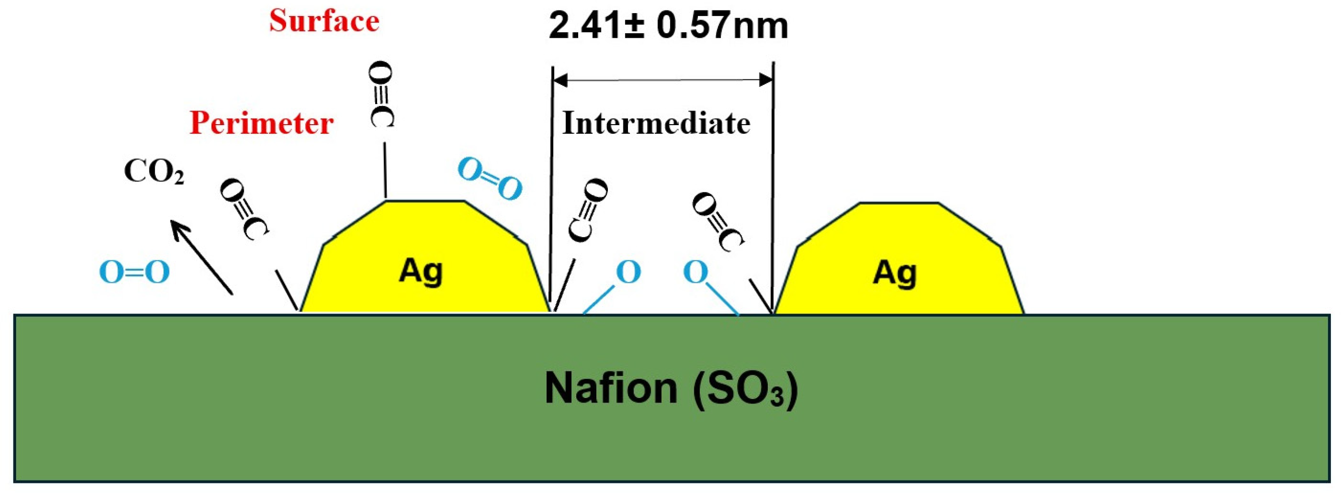 Membranes 16 00058 g016