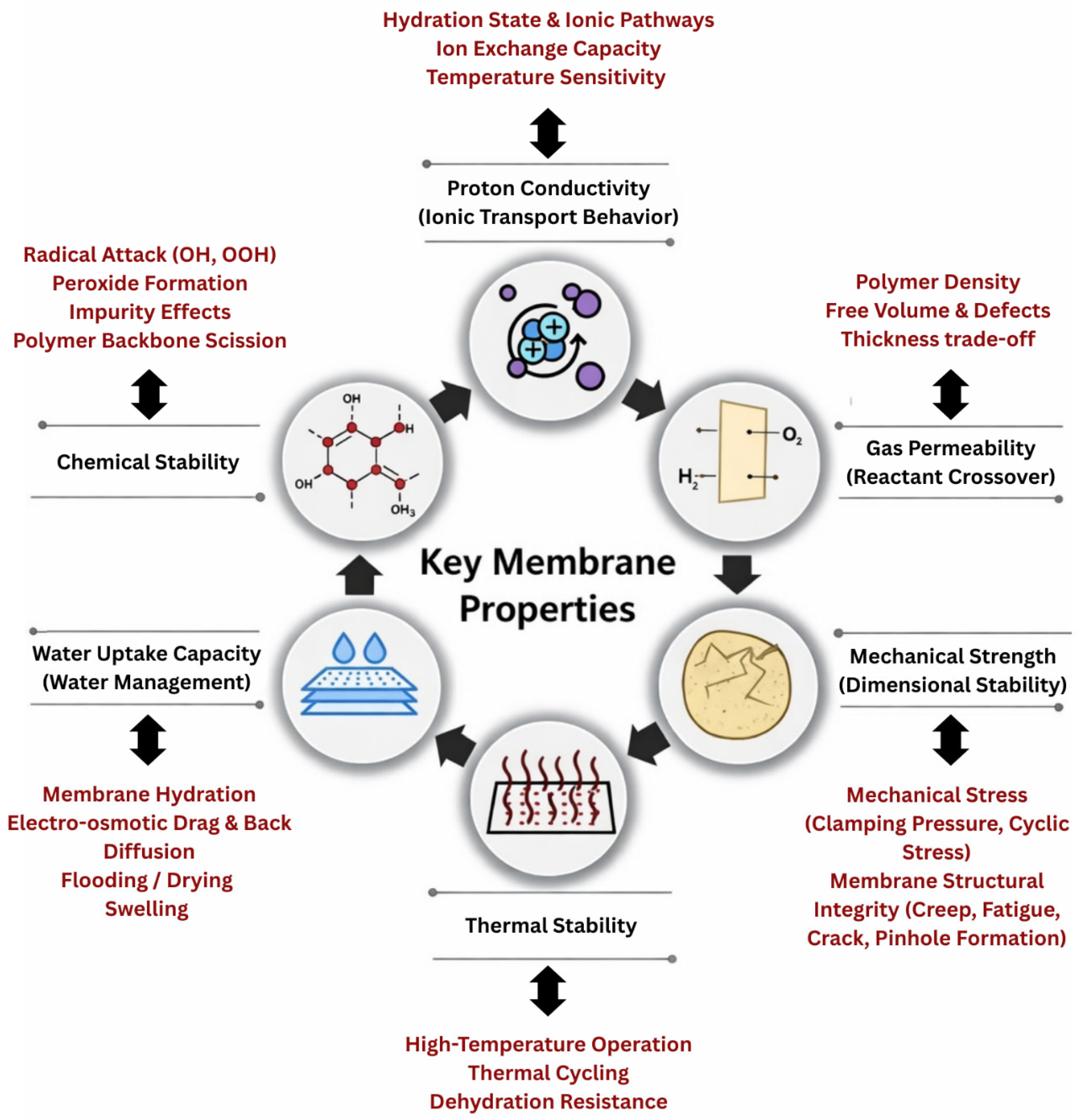 Membranes 16 00097 g002