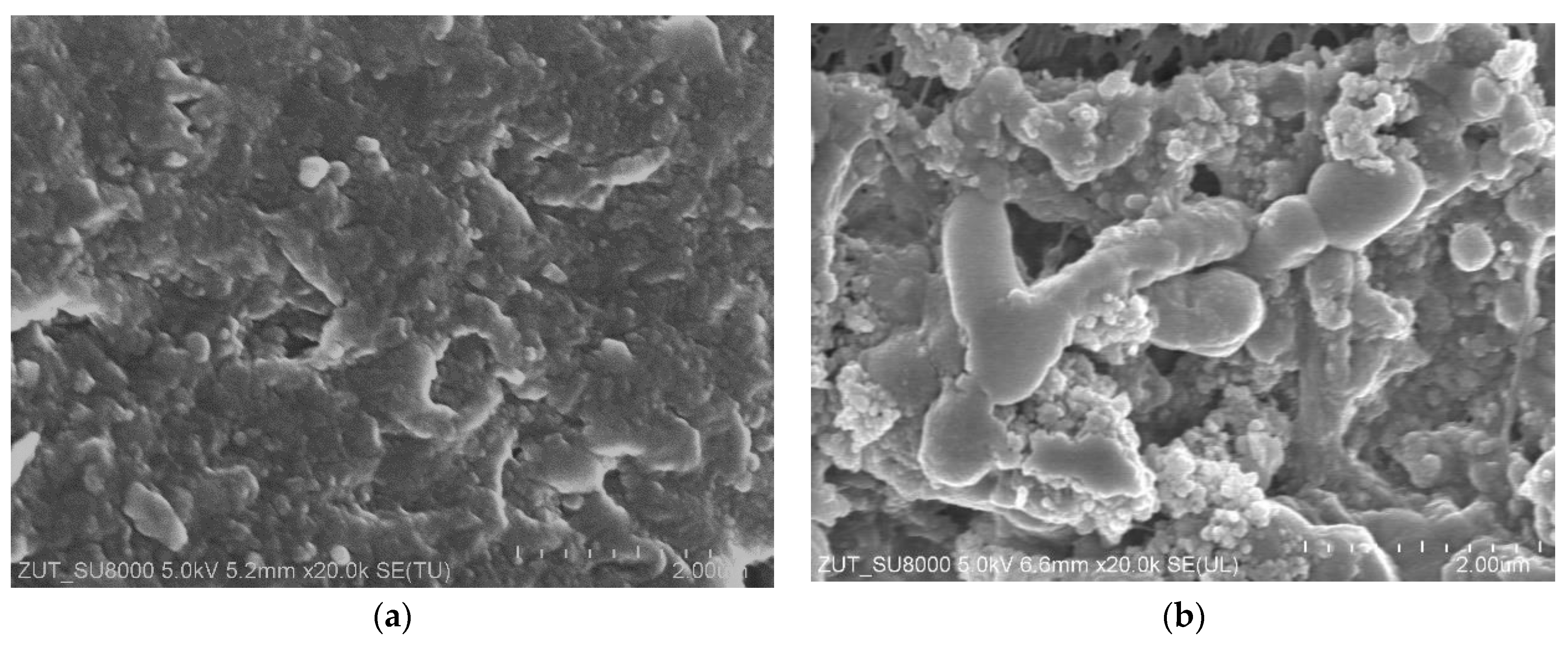 Membranes 16 00138 g007 Membranes 16 00138 g007