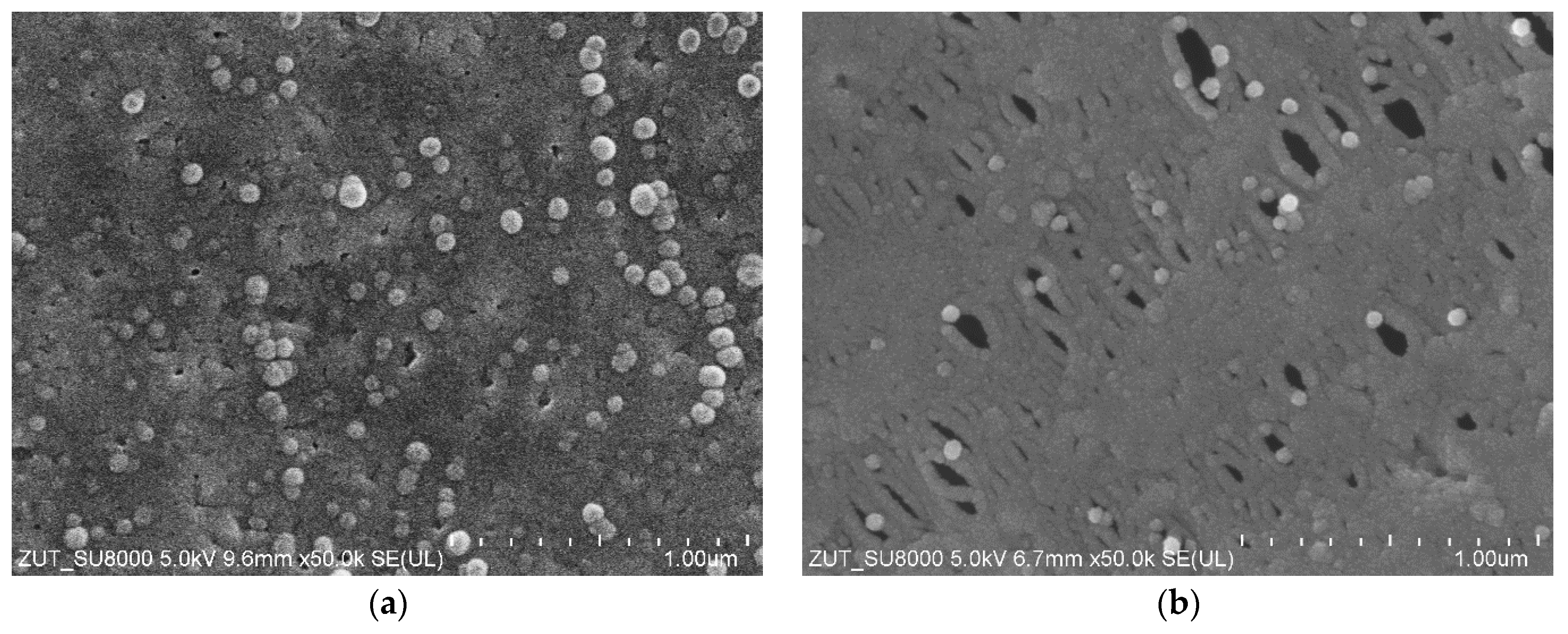 Membranes 16 00138 g011 Membranes 16 00138 g011