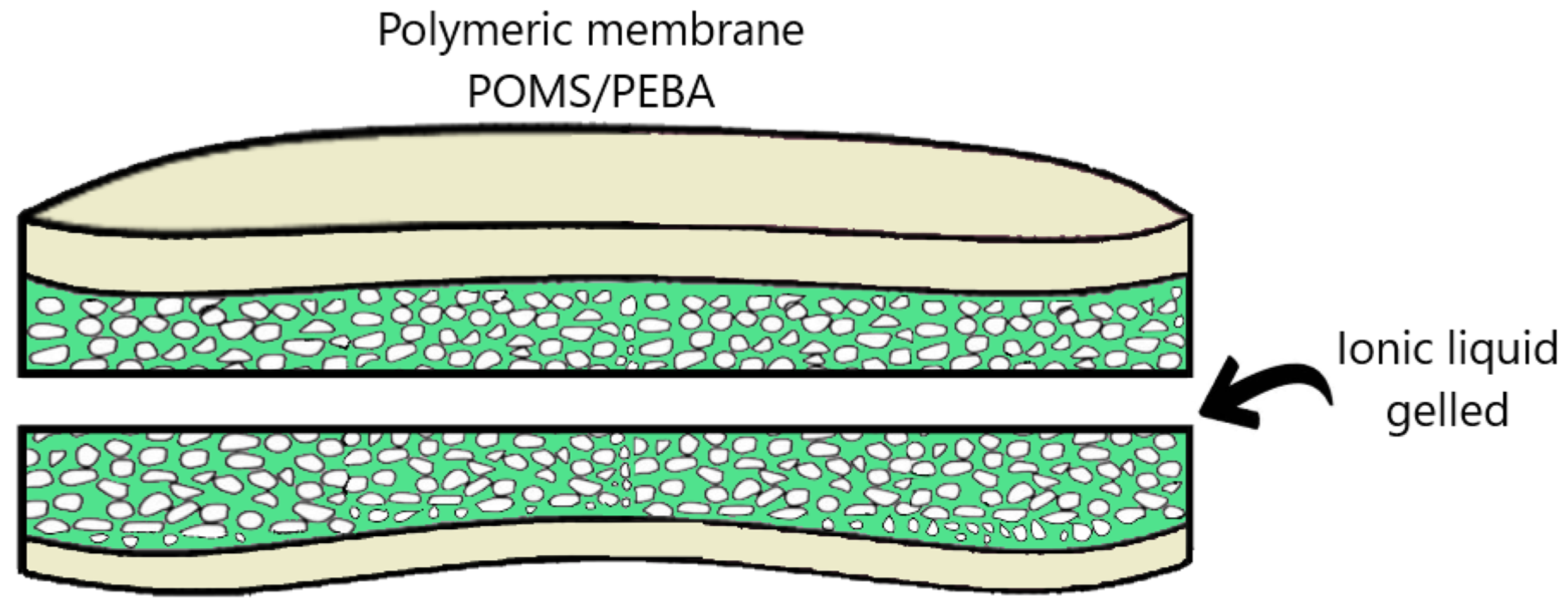 Membranes 16 00274 g002 Membranes 16 00274 g002