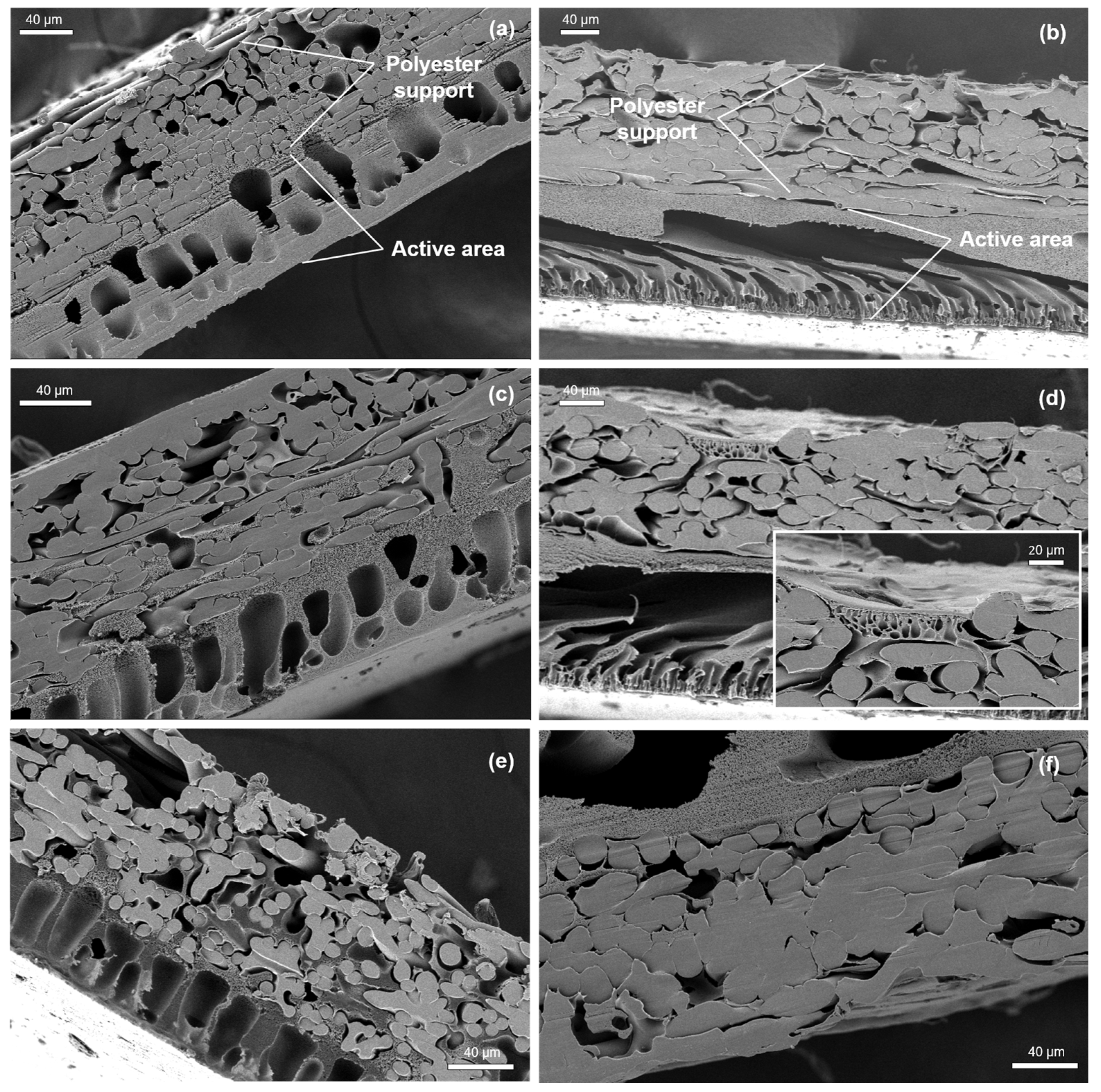 Membranes 16 00274 g005 Membranes 16 00274 g005