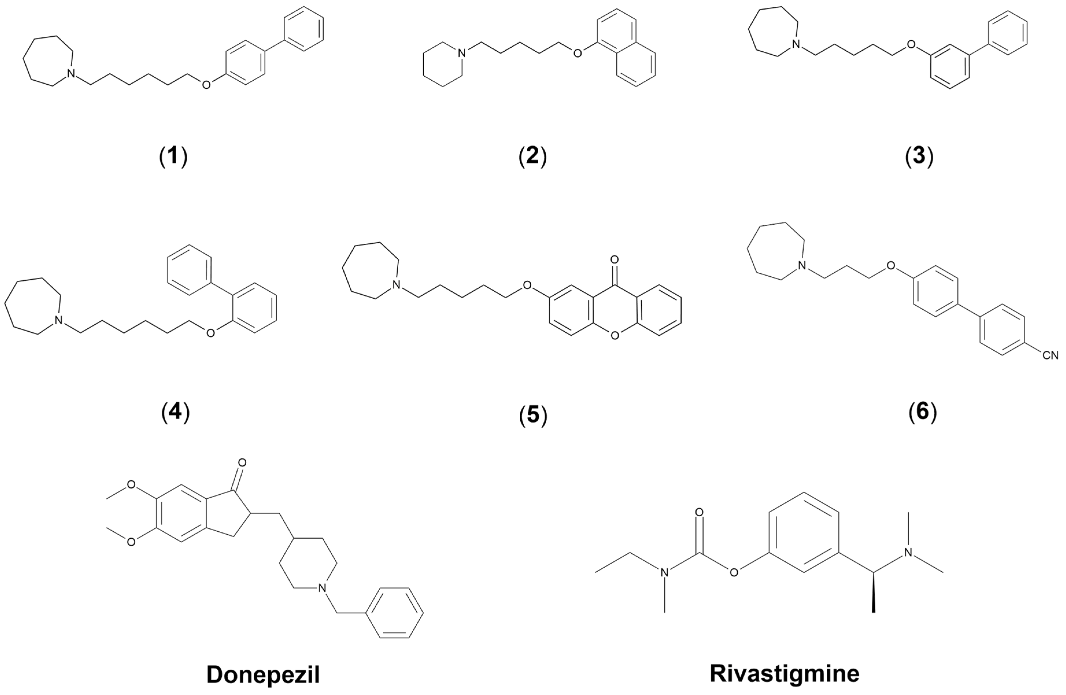 Membranes 16 00315 g001 Membranes 16 00315 g001