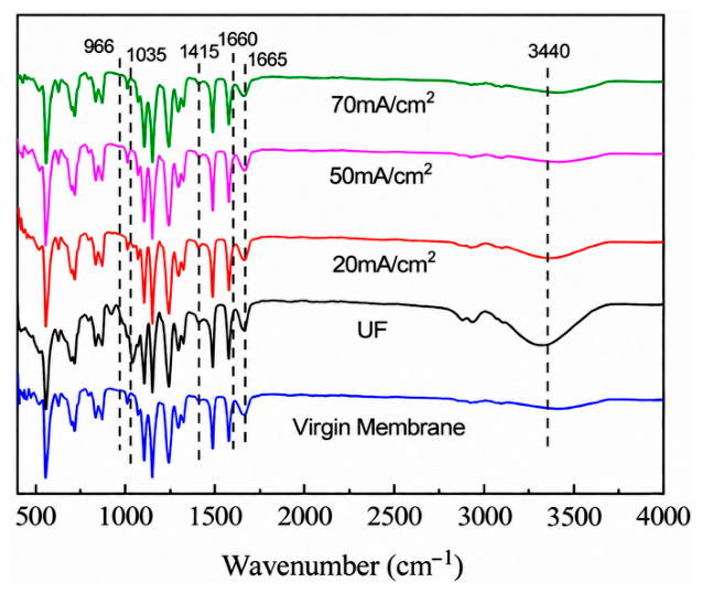 Membranes 16 00317 g007 Membranes 16 00317 g007