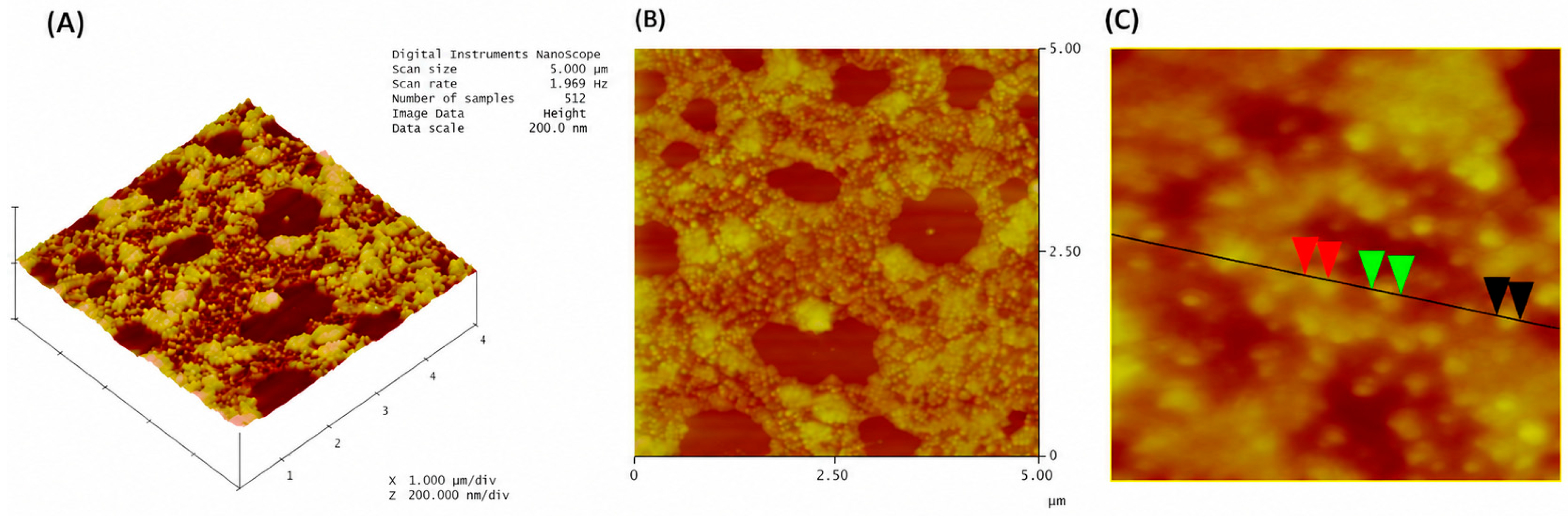 Membranes 16 00327 g007 Membranes 16 00327 g007