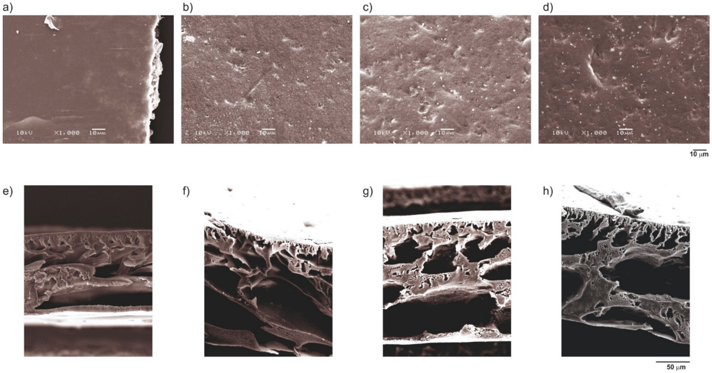 Membranes 16 00345 g003 Membranes 16 00345 g003