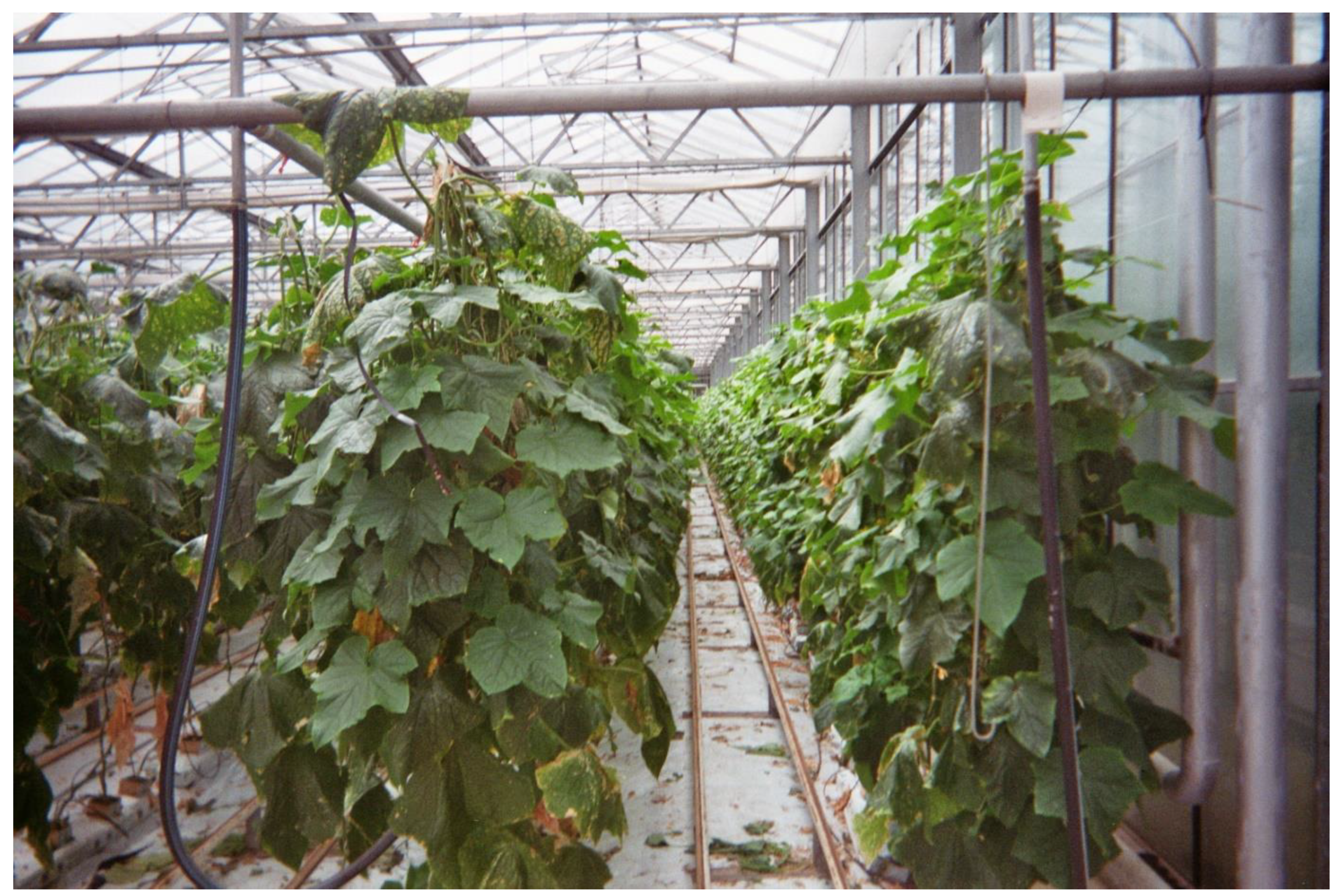 Merits 03 00024 g004 Merits 03 00024 g004