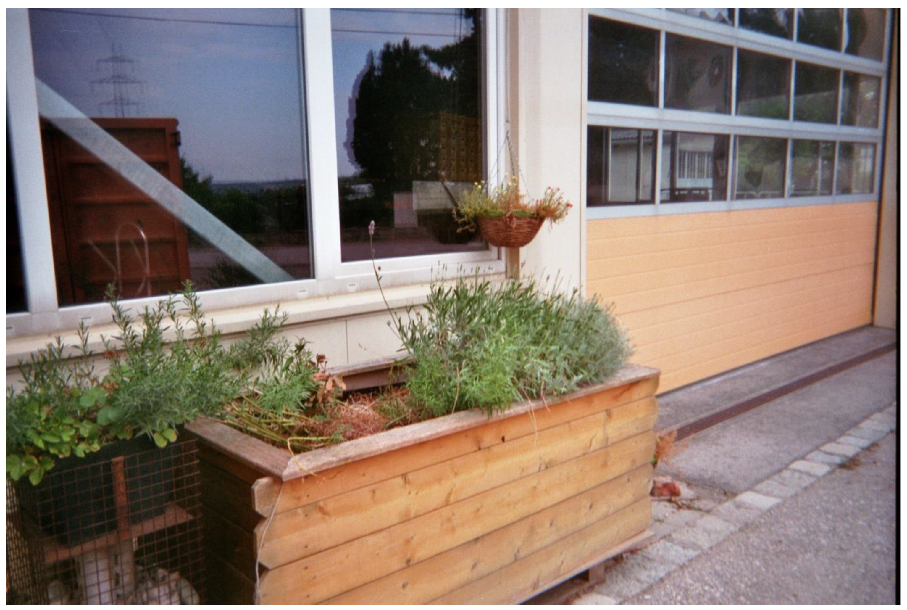 Merits 03 00024 g005 Merits 03 00024 g005