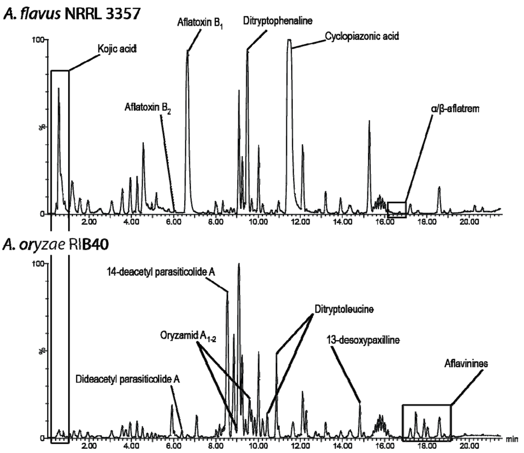 Metabolites 02 00039 g002 1024