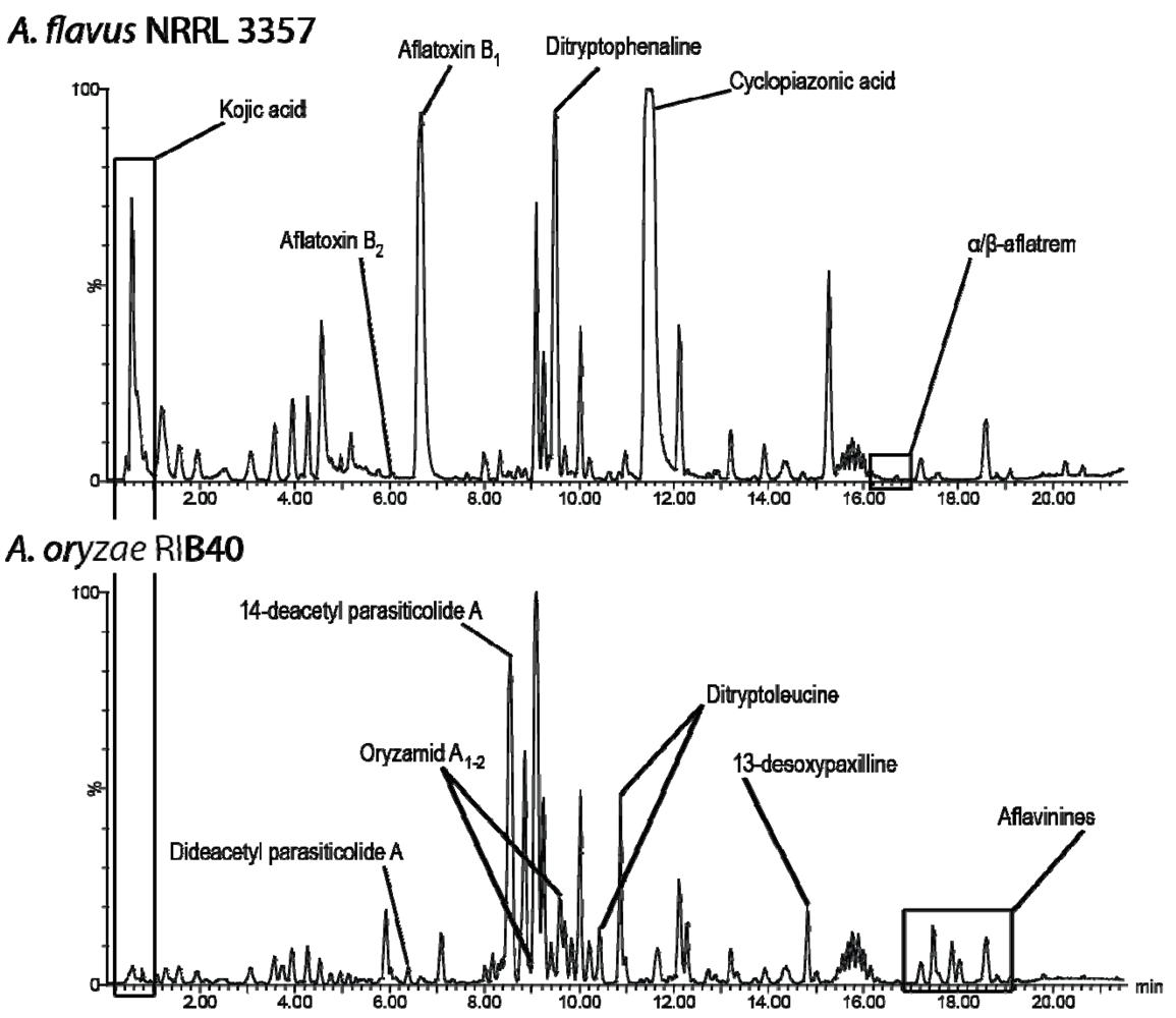Metabolites 02 00039 g002