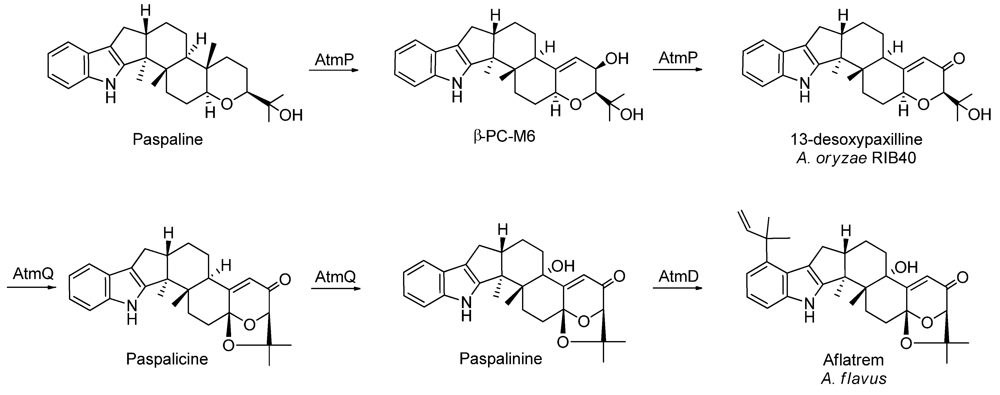Metabolites 02 00039 g003