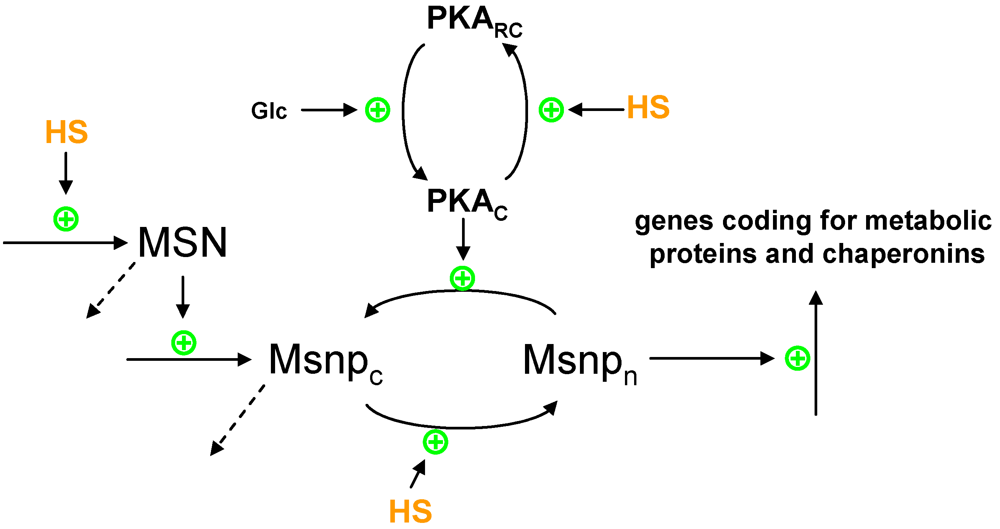 Metabolites 02 00221 g002