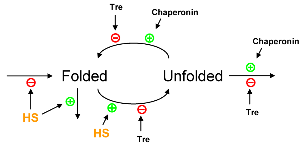 Metabolites 02 00221 g003 1024