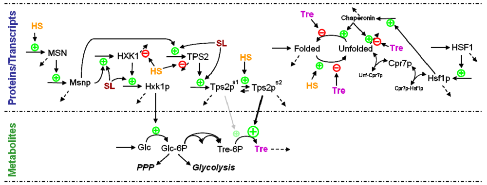 Metabolites 02 00221 g006